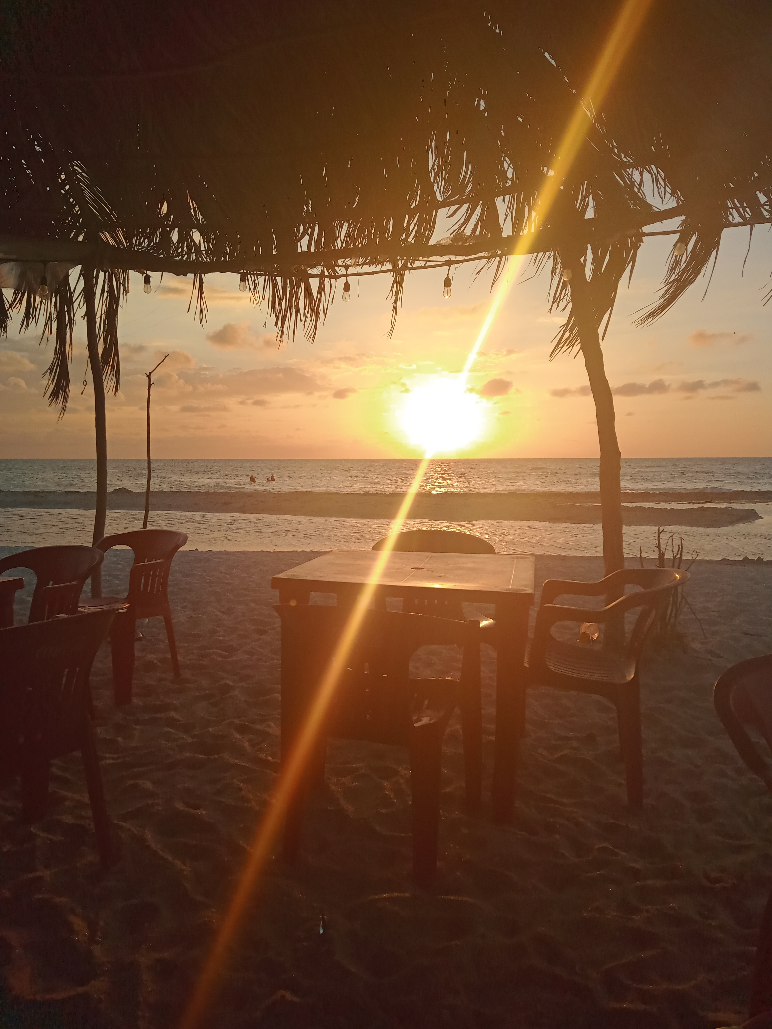 Hot-dogs-hamburguesas el amigo poli image 2