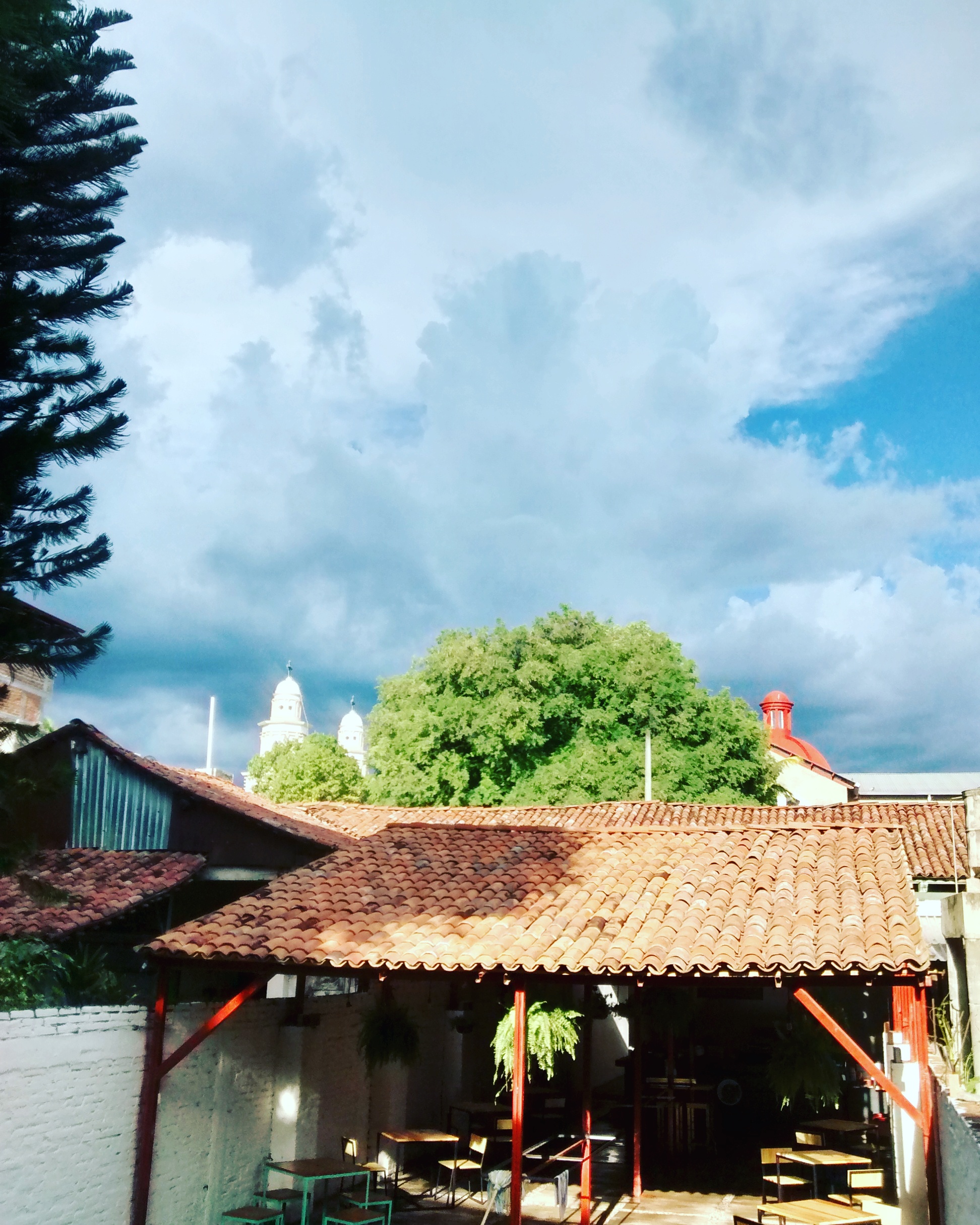 Obregón 203 image 10