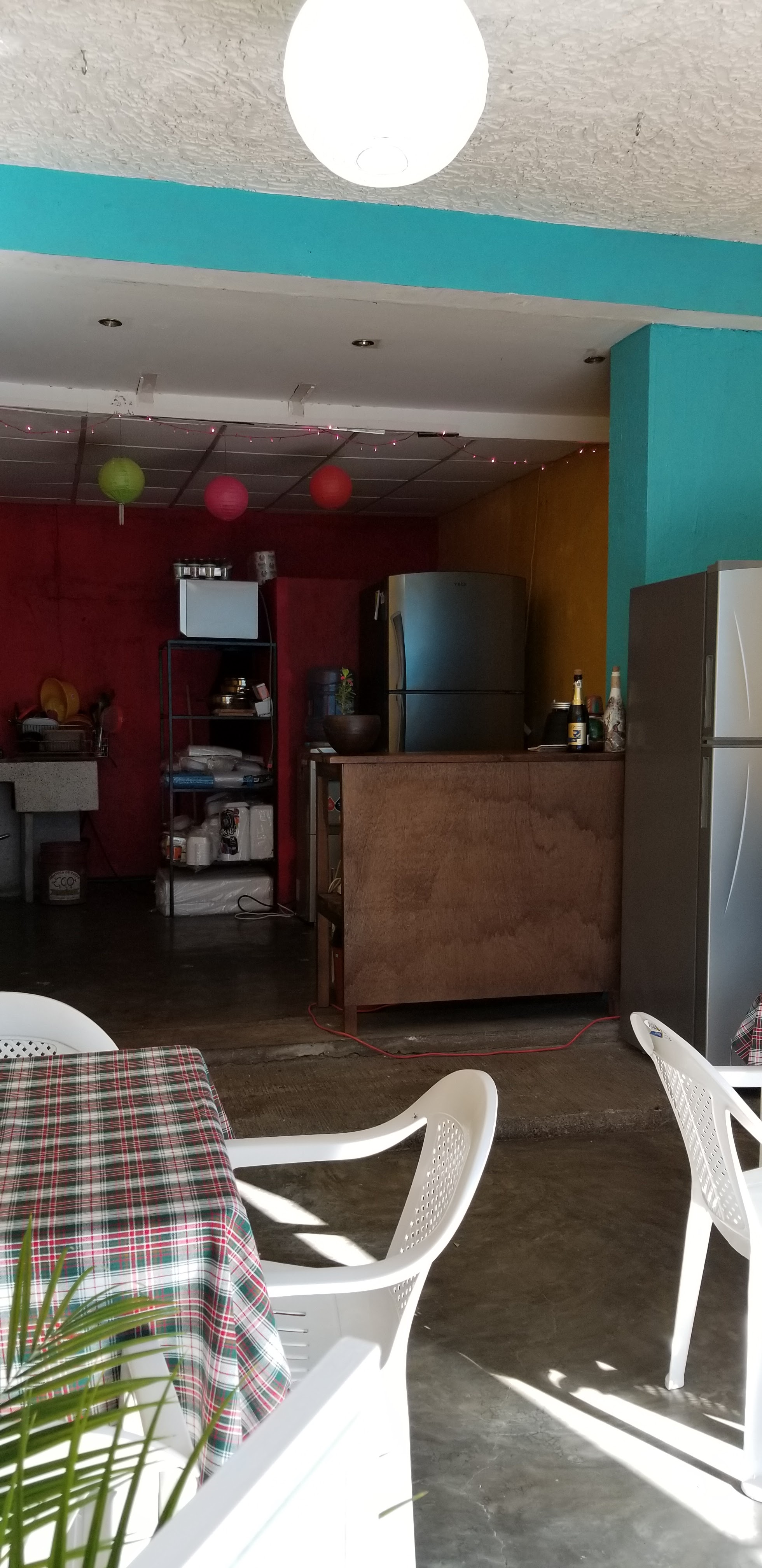 LONCHERIA FRIDA KAHLO image 2