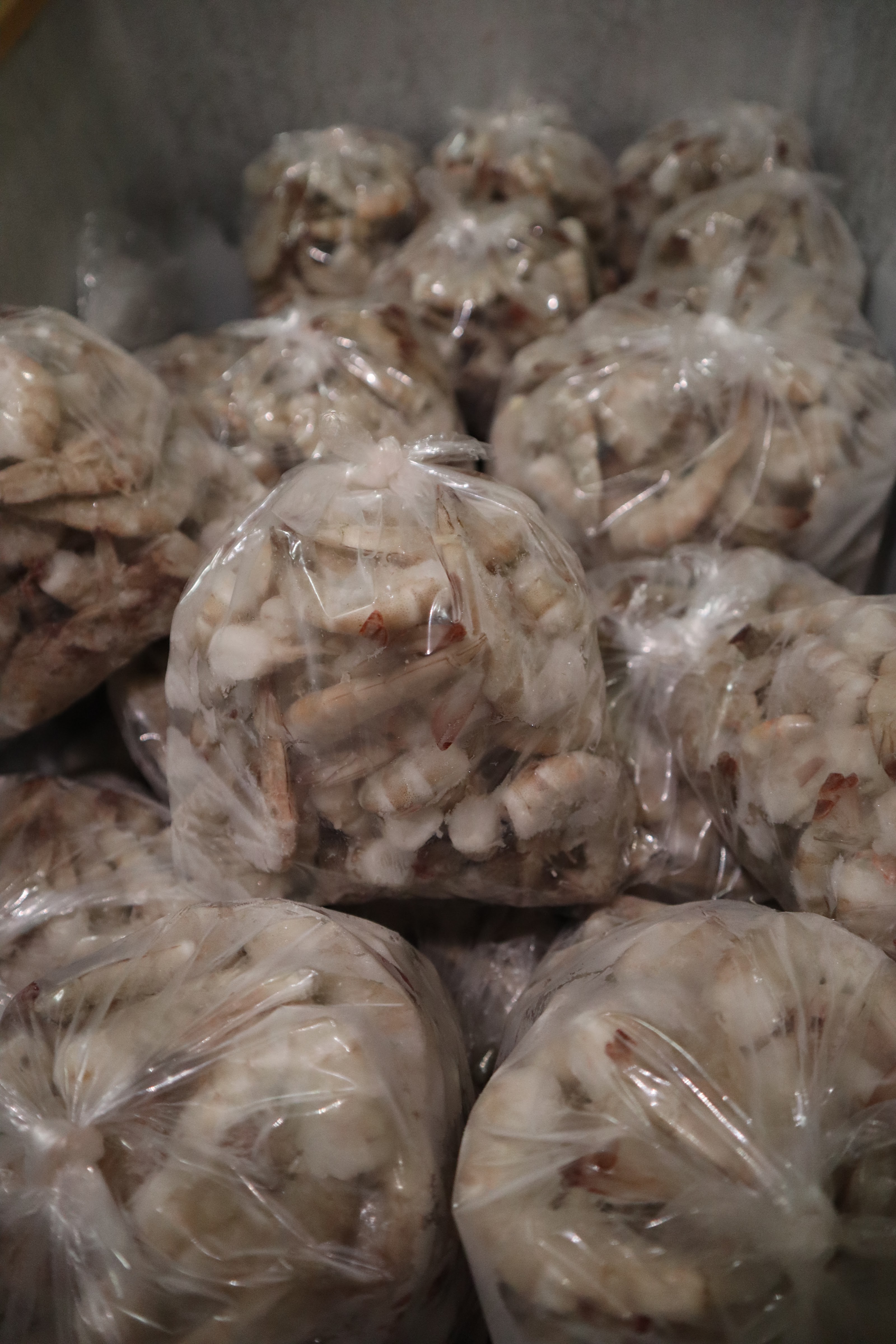 Mariscos RODA image 1