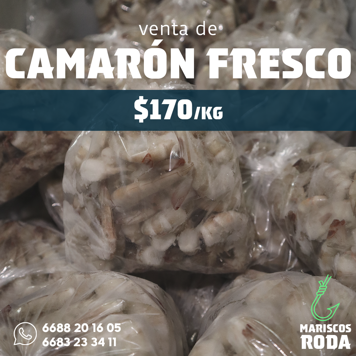 Mariscos RODA image 4