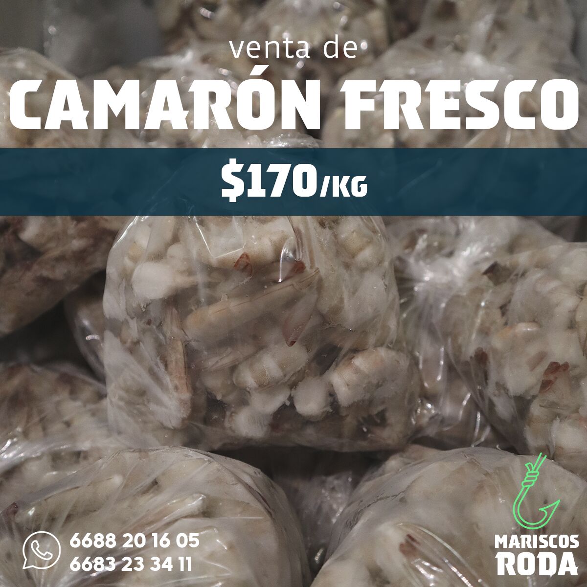Mariscos RODA image 4