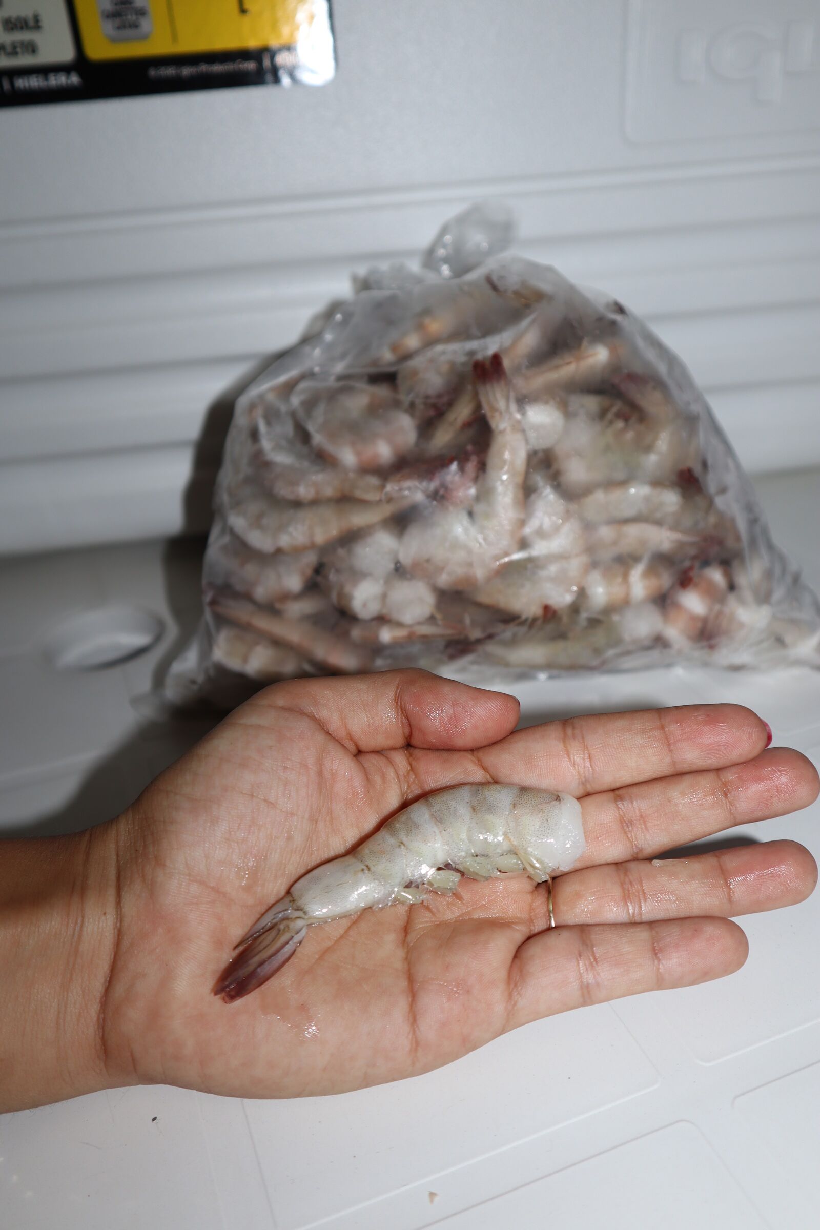 Mariscos RODA image 5