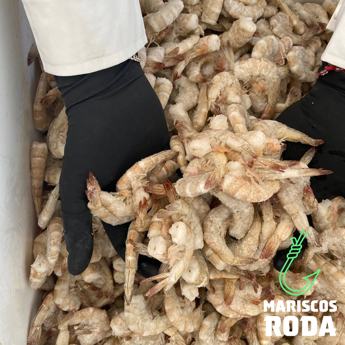 Mariscos RODA image 6