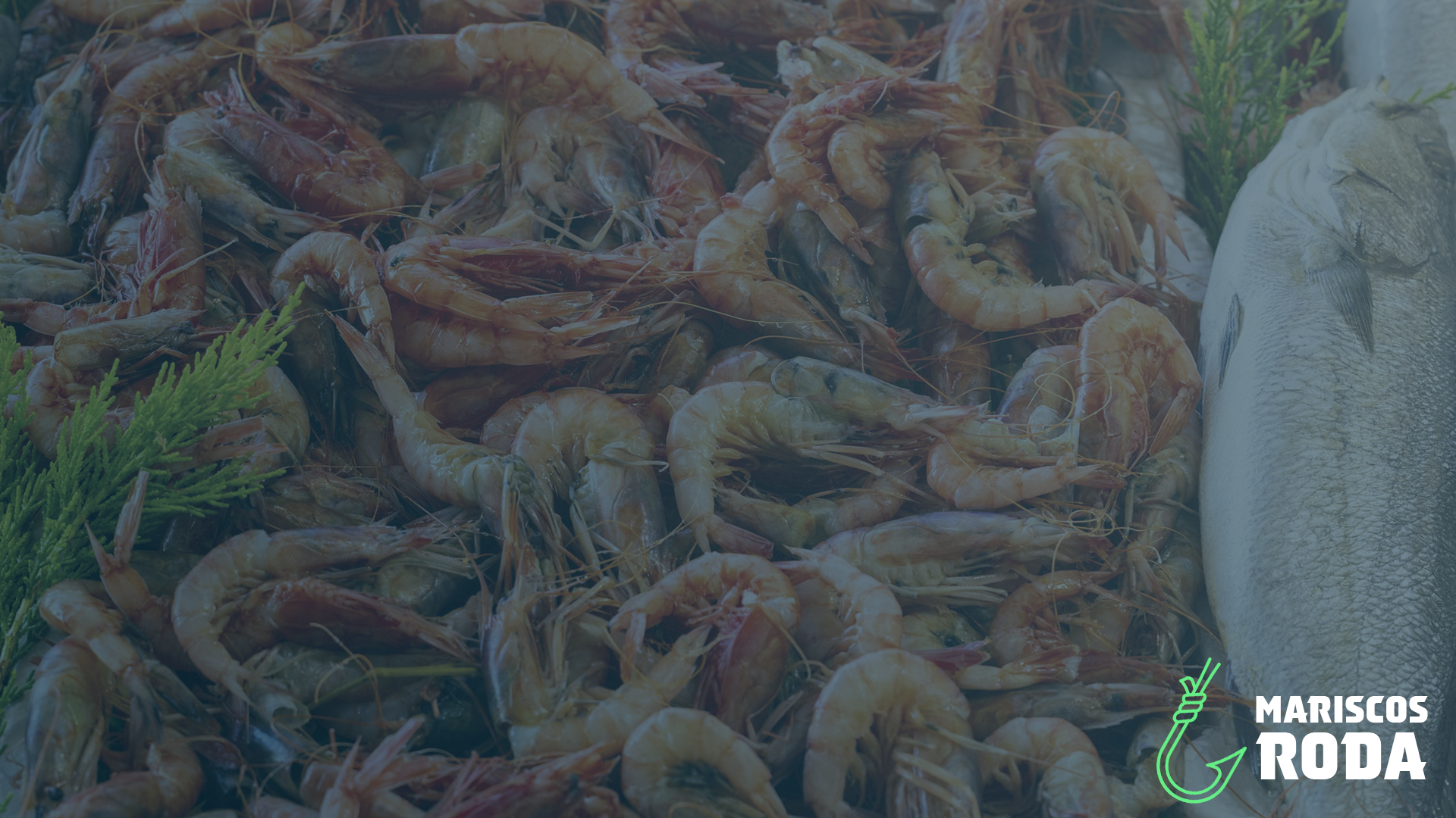 Mariscos RODA image 7