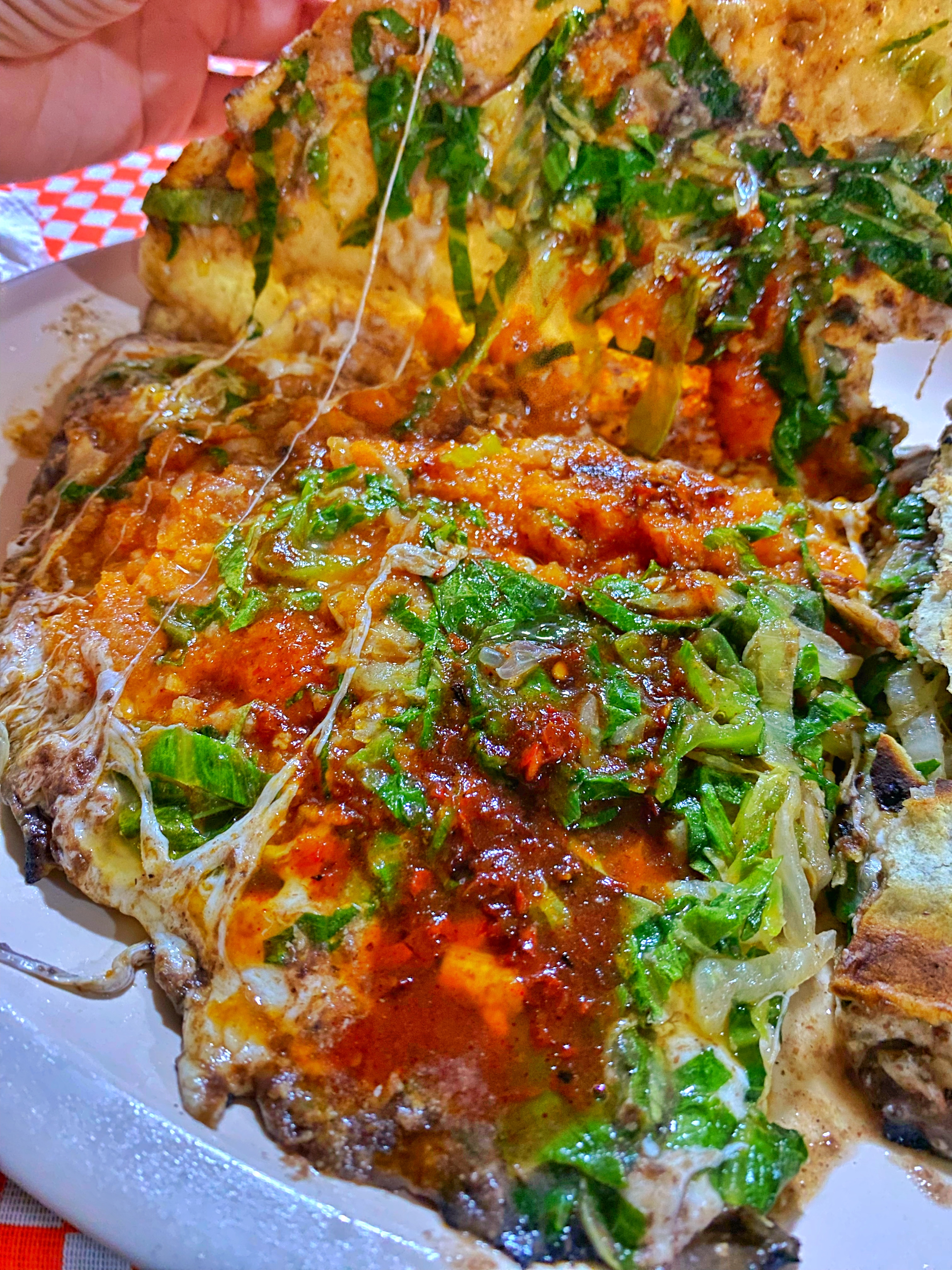 Paisana Light image 3