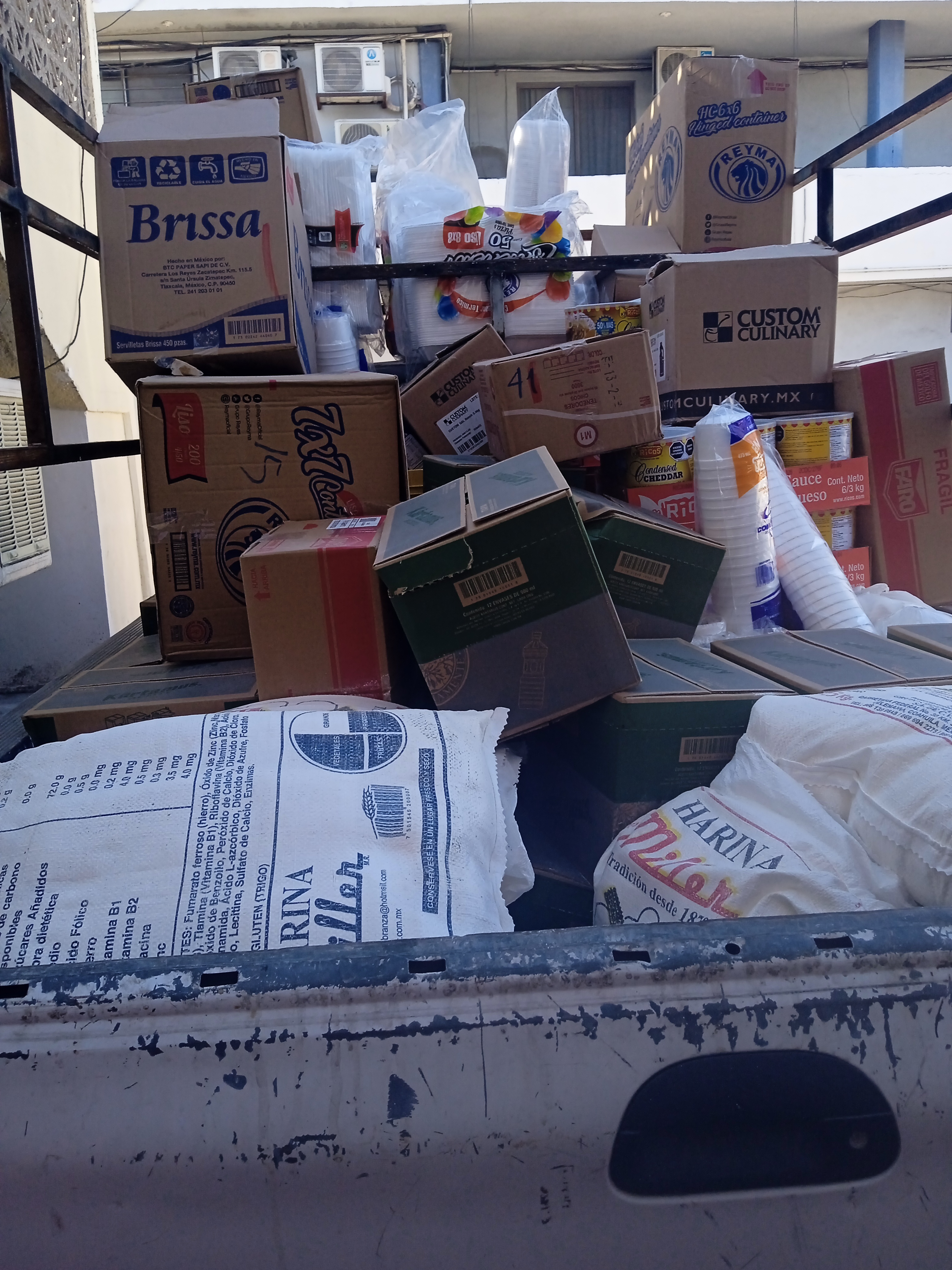 Pollos Tick Waldos image 4