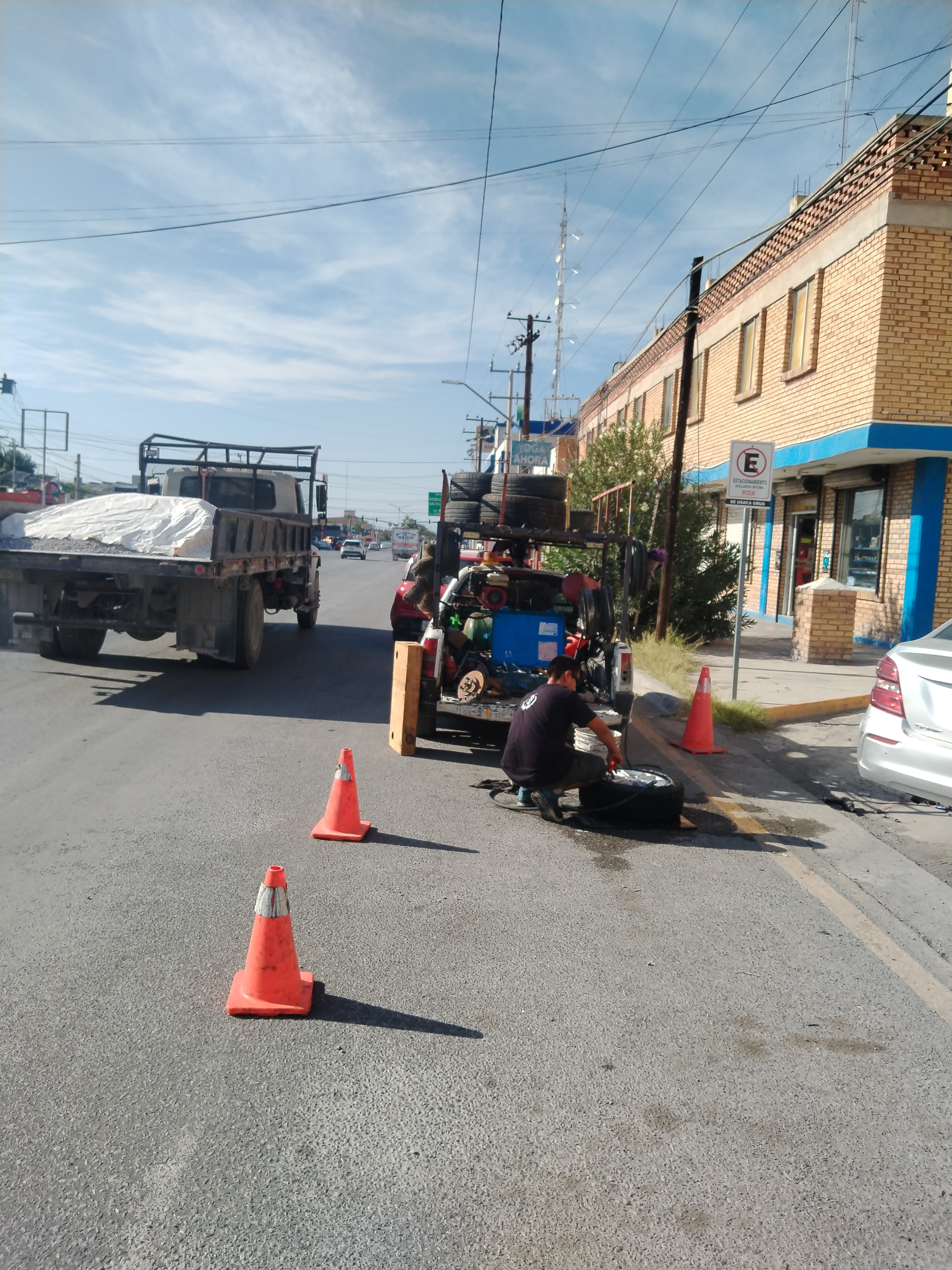 Pollos Tick Waldos image 5