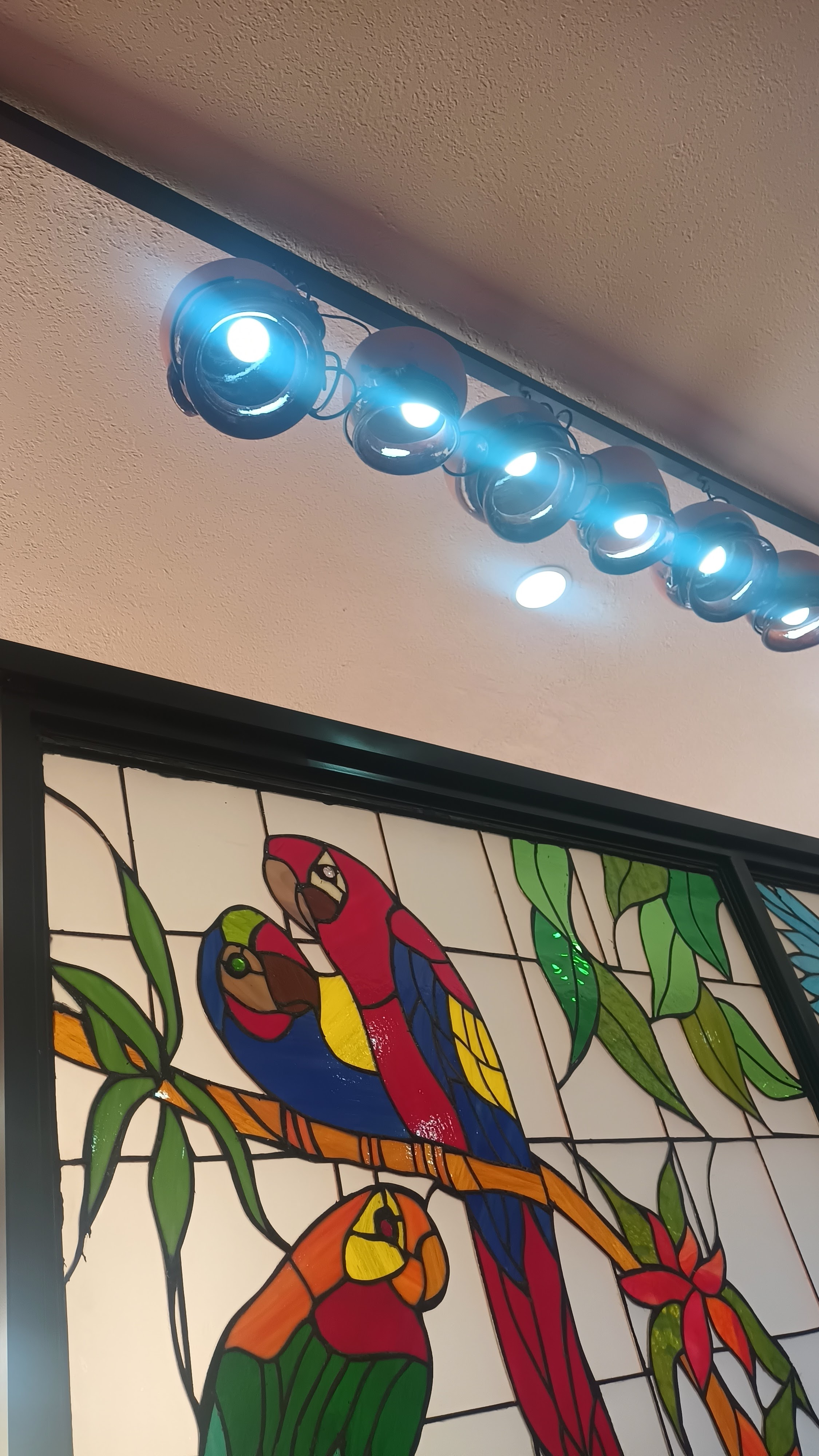 Mi Fondita 2 image 7