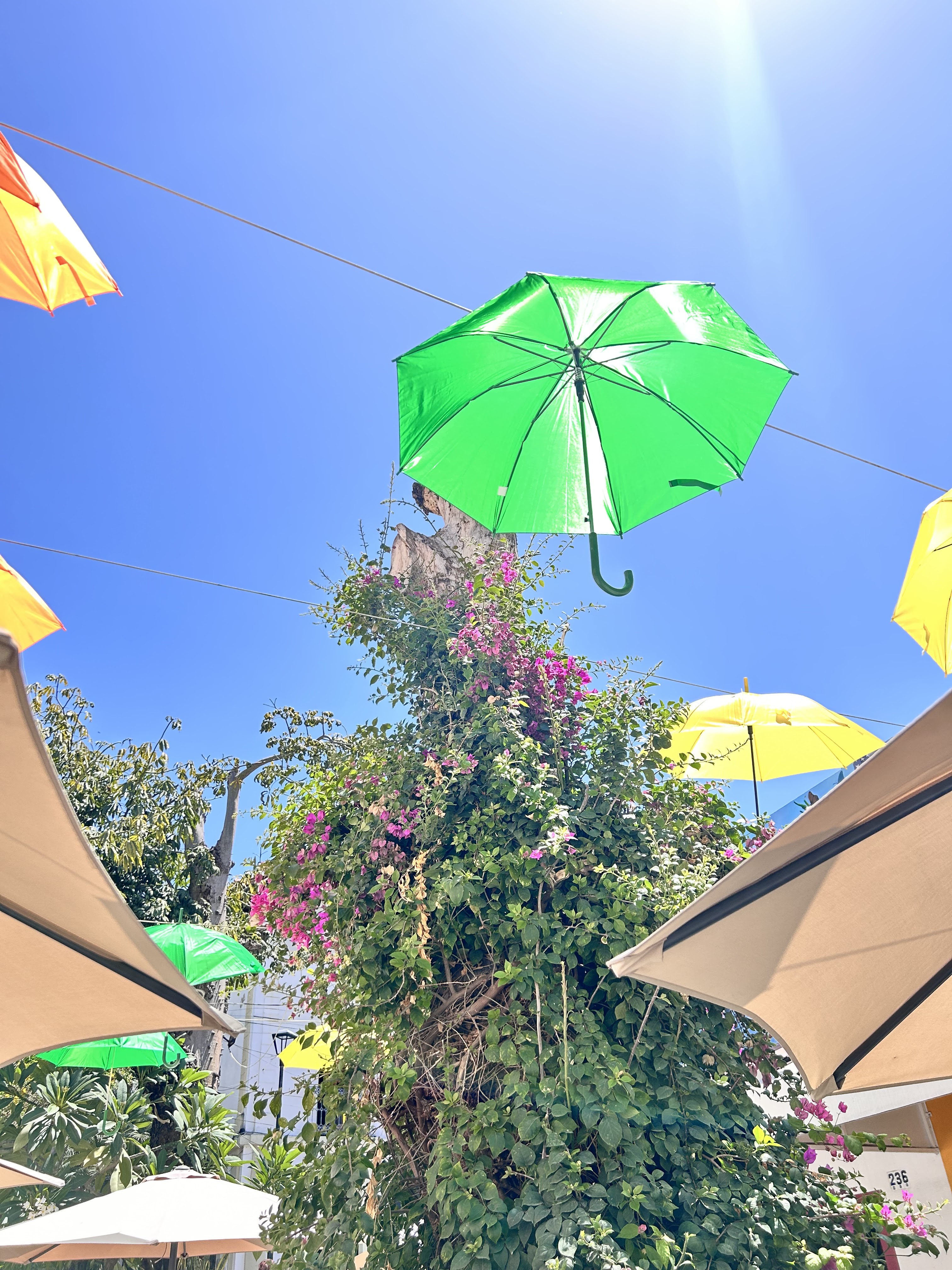 La Tostaderia image 8