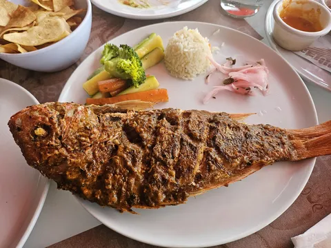 El Barracuda image 2