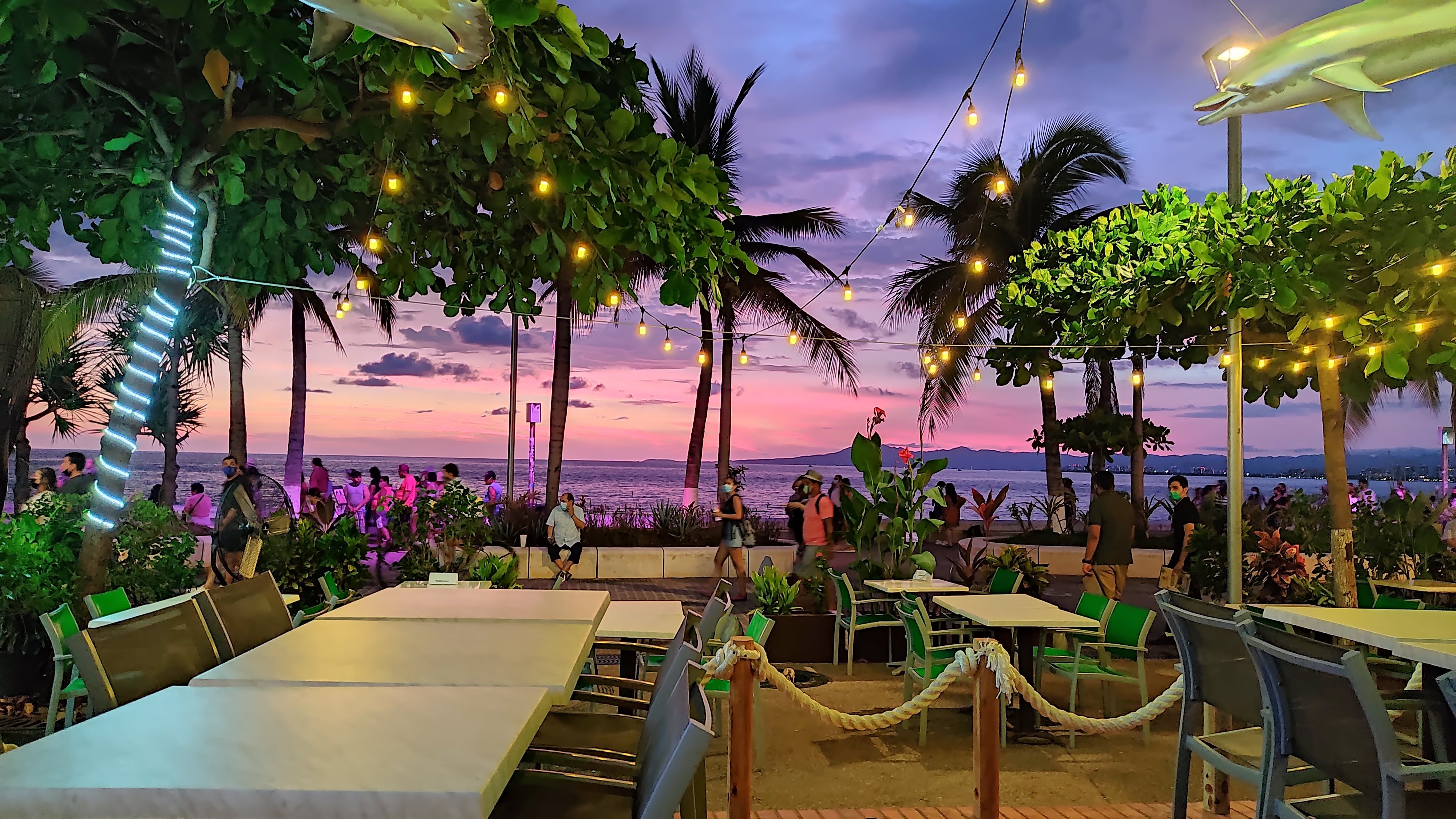 RESTAURANTE EL JARDIN DE PANCHO VILLA image 4