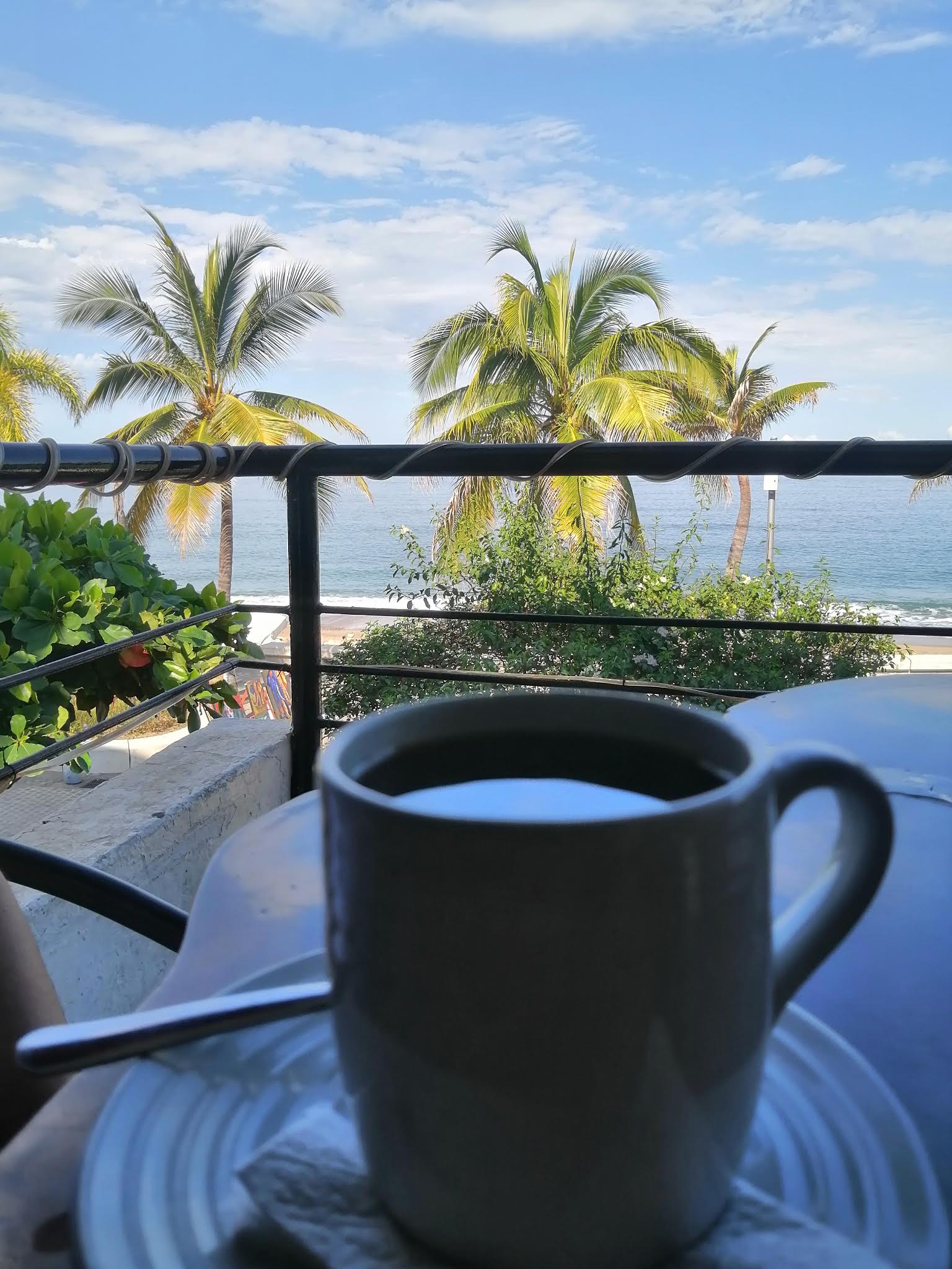 RESTAURANTE EL JARDIN DE PANCHO VILLA image 6