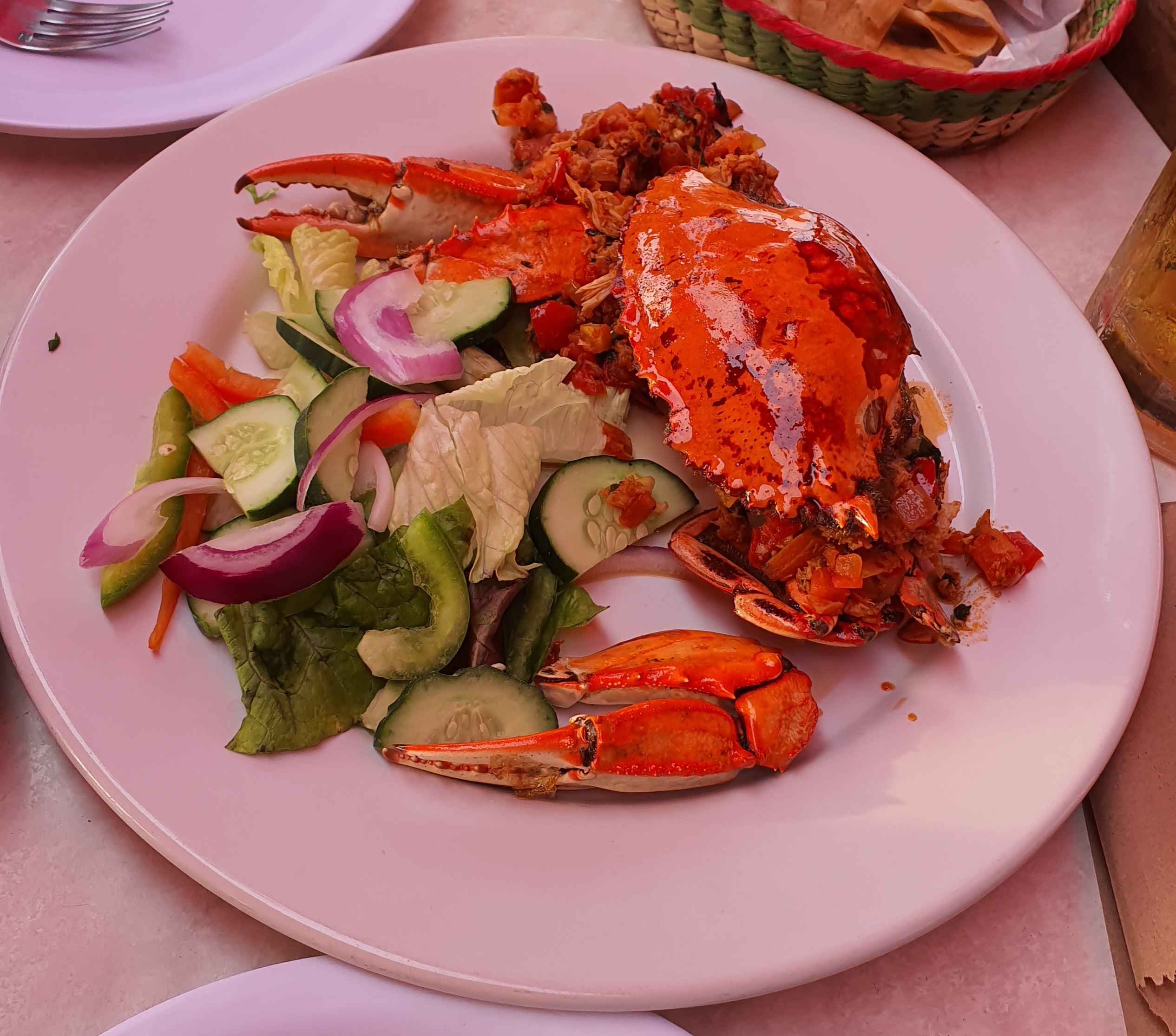 Ferchi’s Lobster House image 5