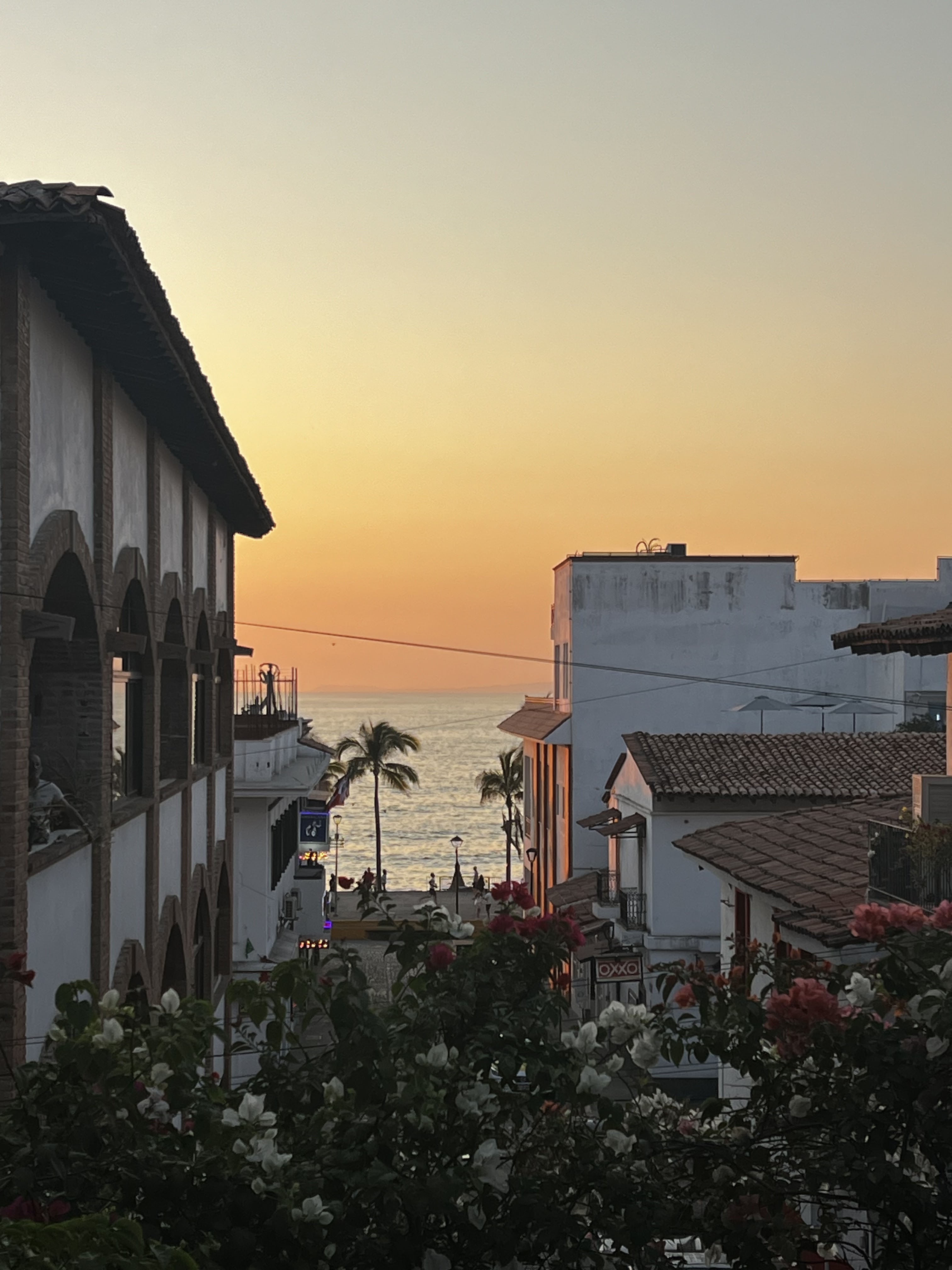 Gaby's Restaurant Bar image 6