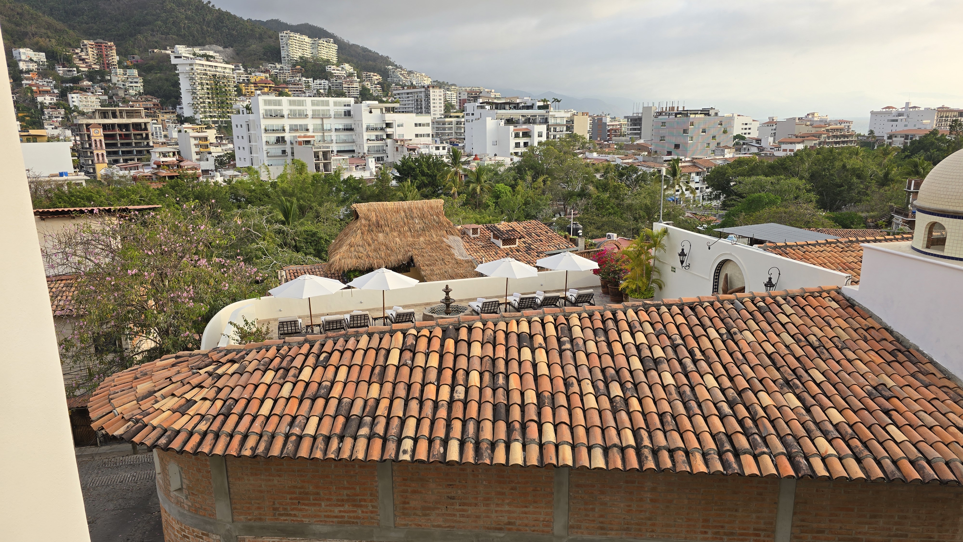 The Iguana Restaurant & Tequila Bar image 6