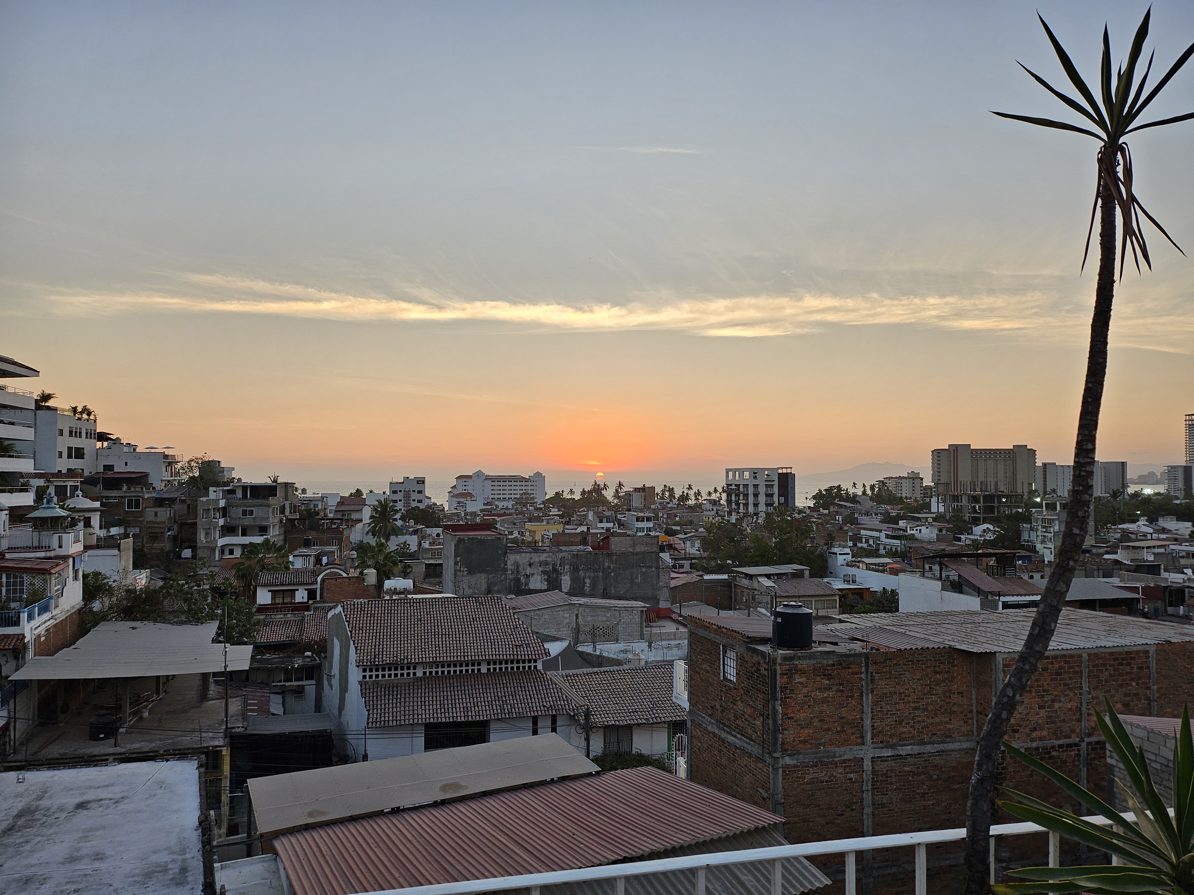 Restaurante Miel image 6