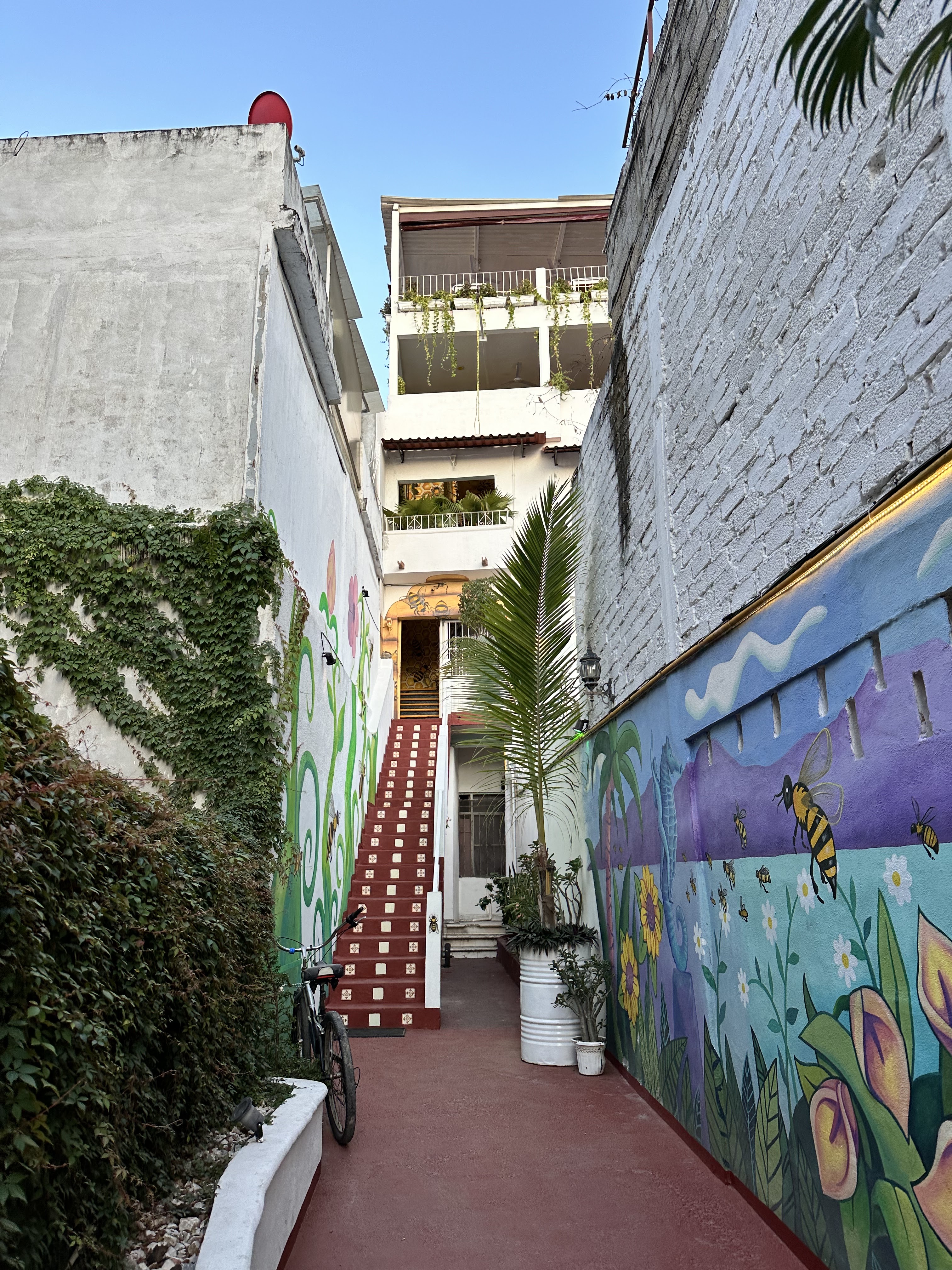 Restaurante Miel image 9