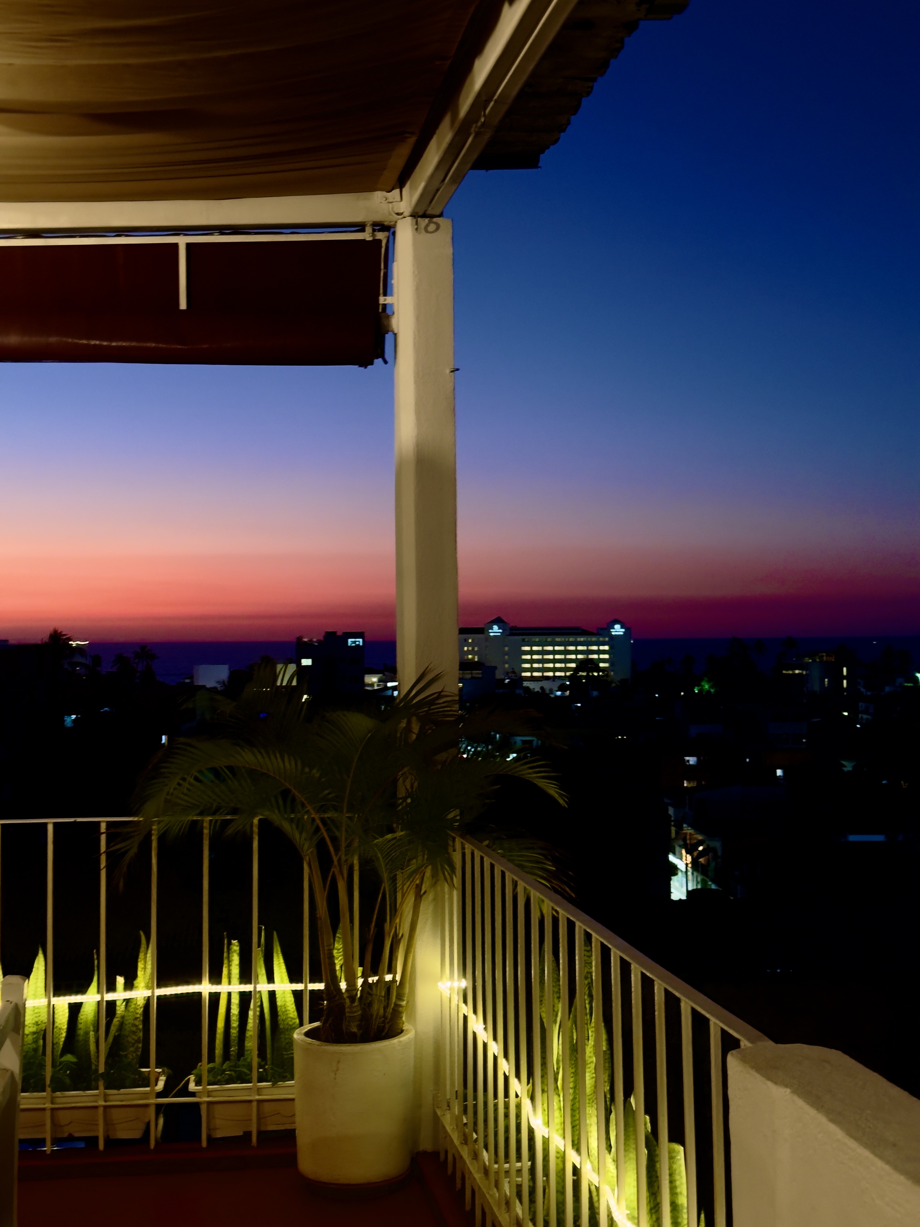 Restaurante Miel image 10