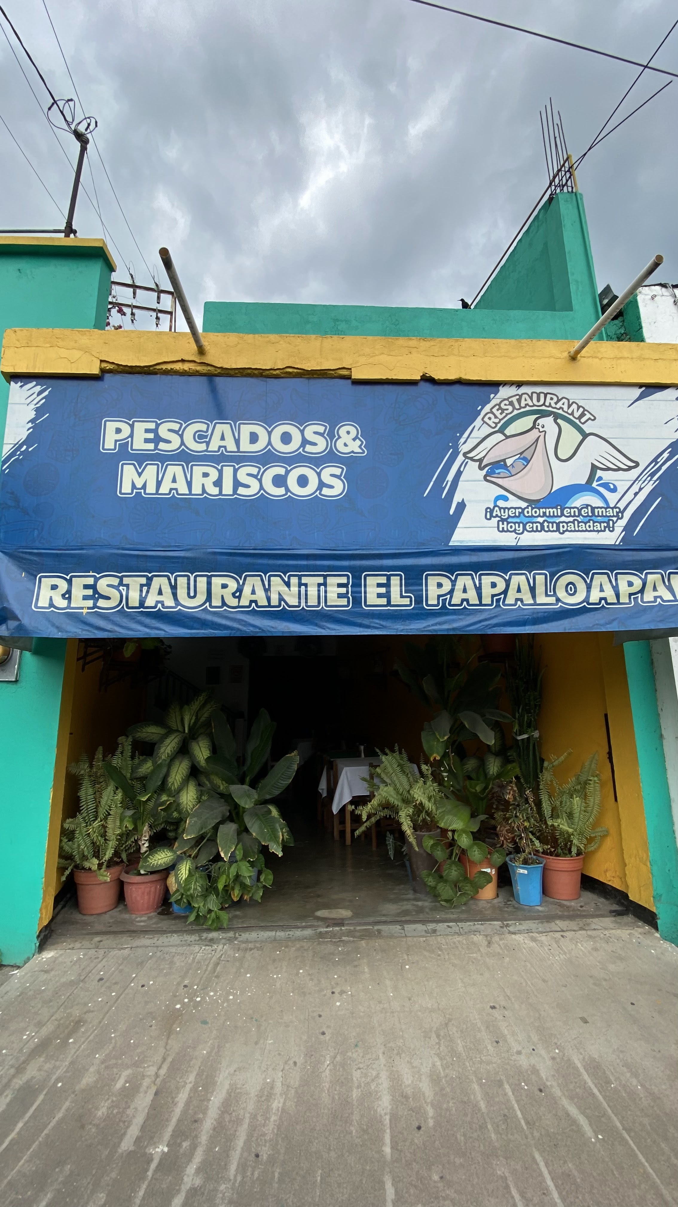 Cockteleria El Papaloapan image 1