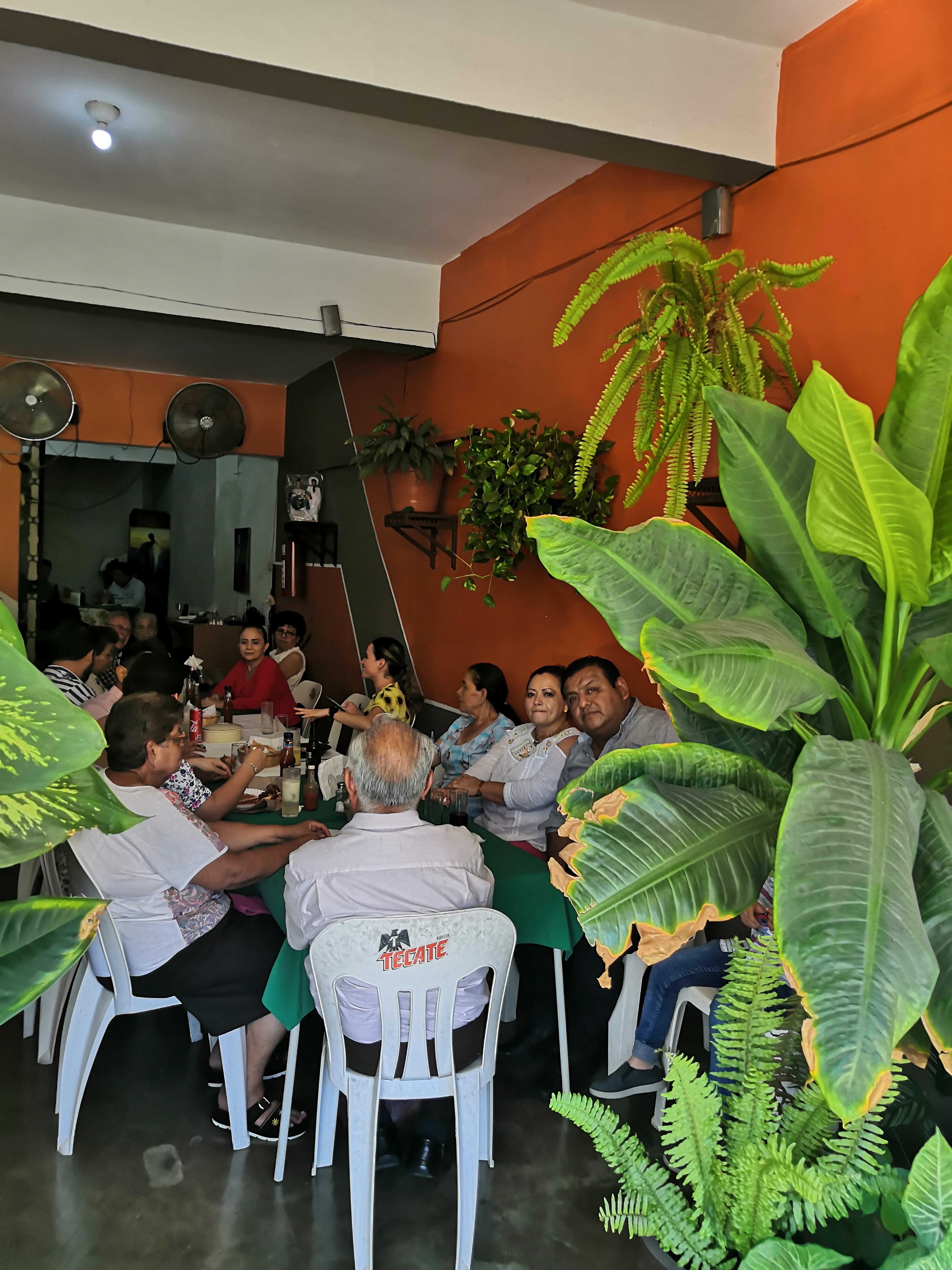 Cockteleria El Papaloapan image 3