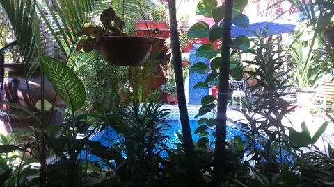 Tapachtlan image 2
