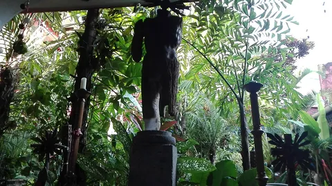 Tapachtlan image 6