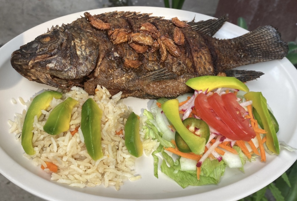 La casa de mi mamá image 1