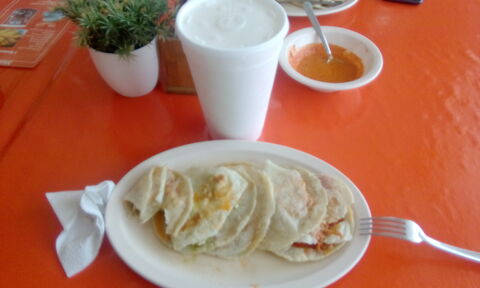 Pibil Tacos Tortas y Tamales image 5