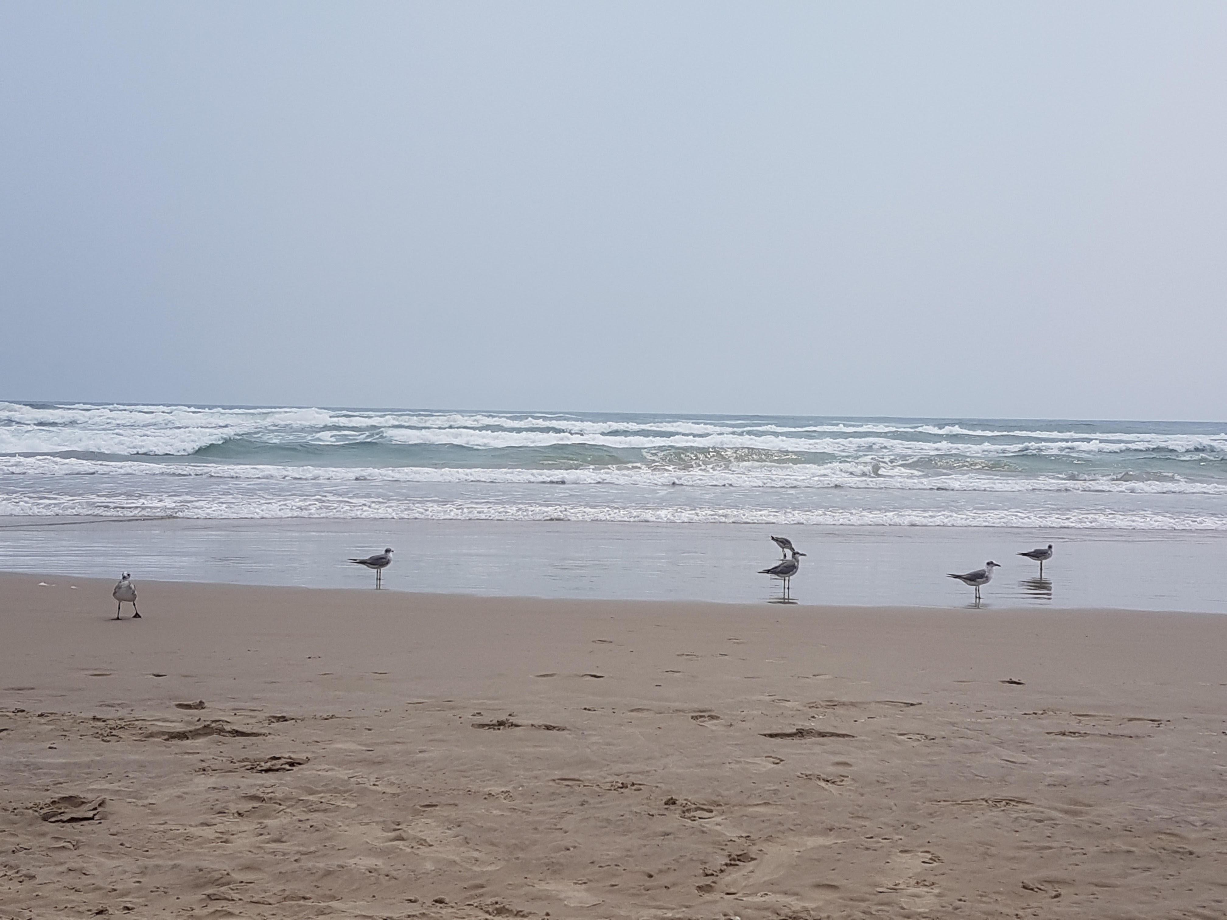 Restaurant Playa Paraíso image 3
