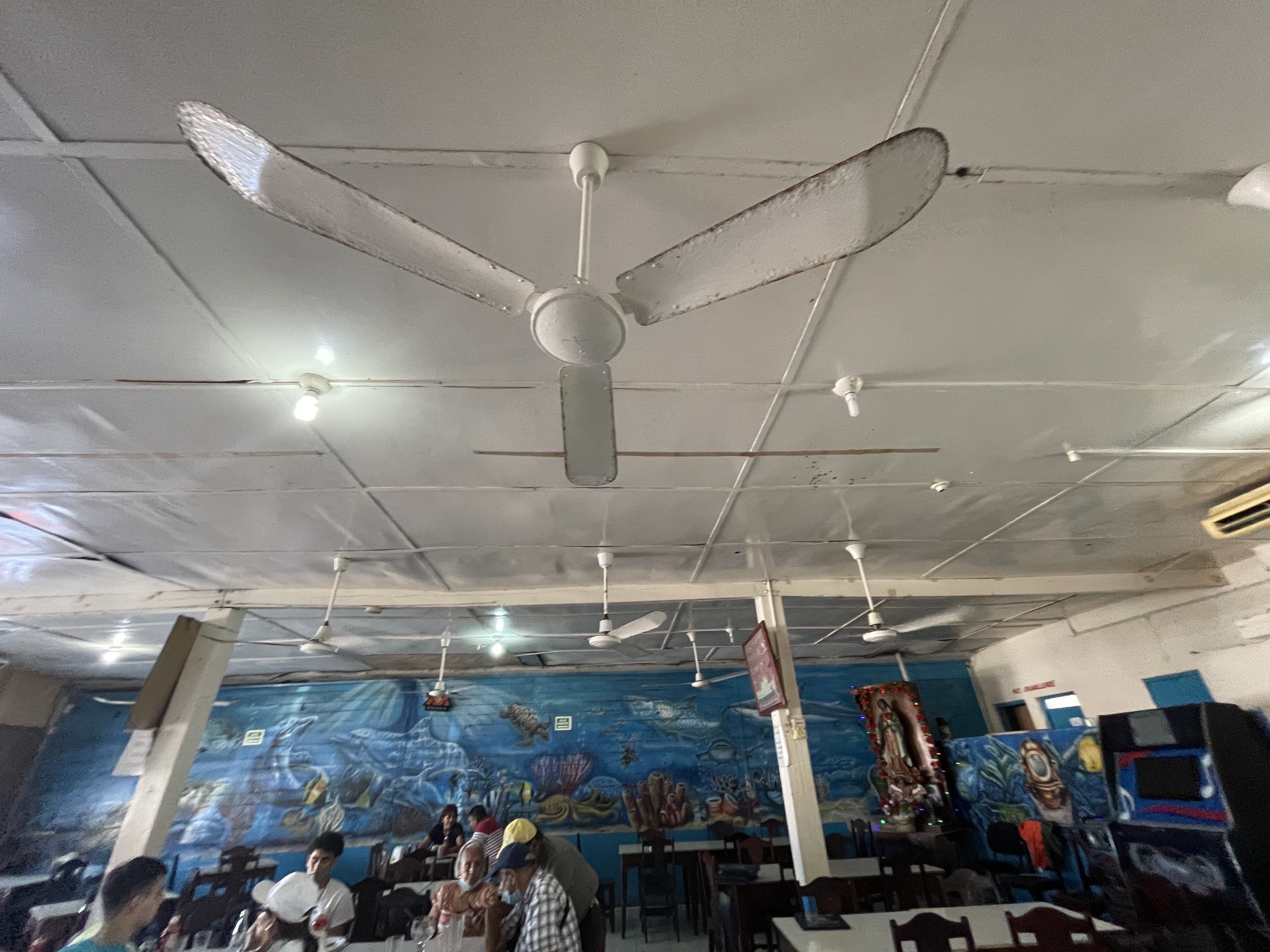 El Pollo Marino Restaurante image 3