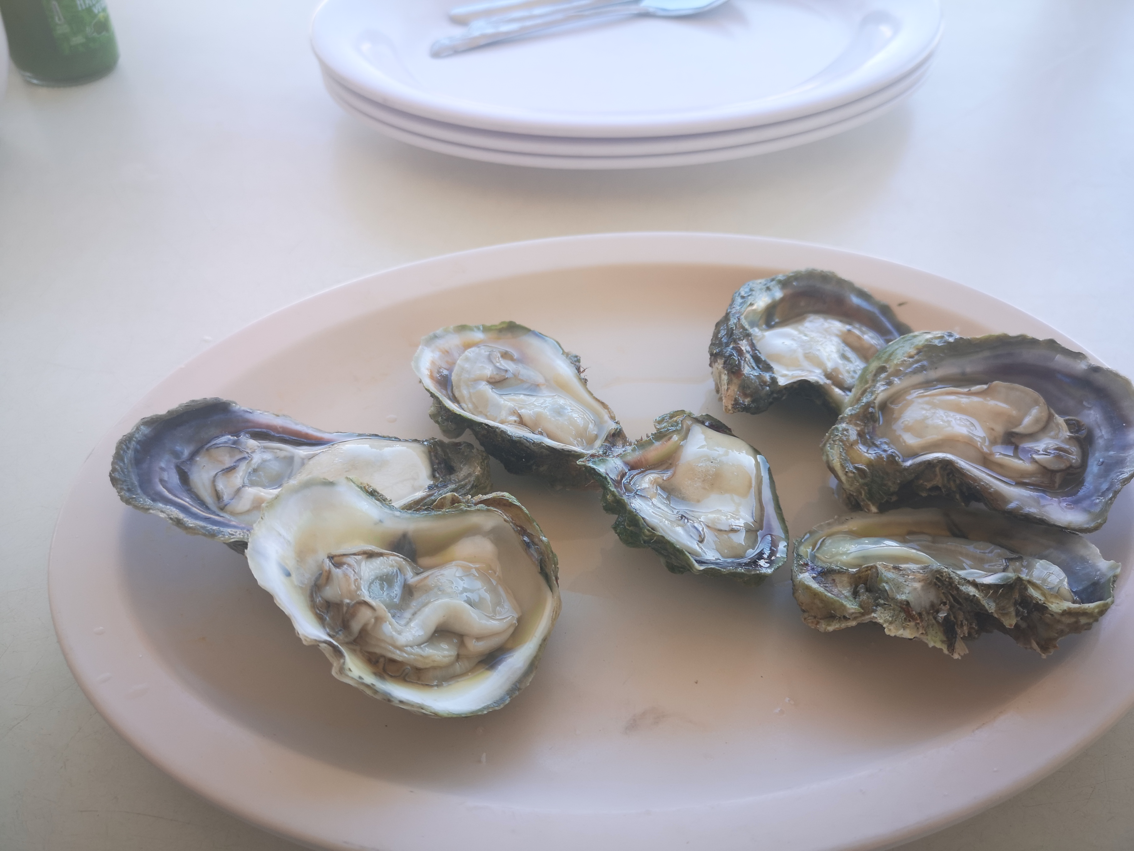 El Pollo Marino Restaurante image 6