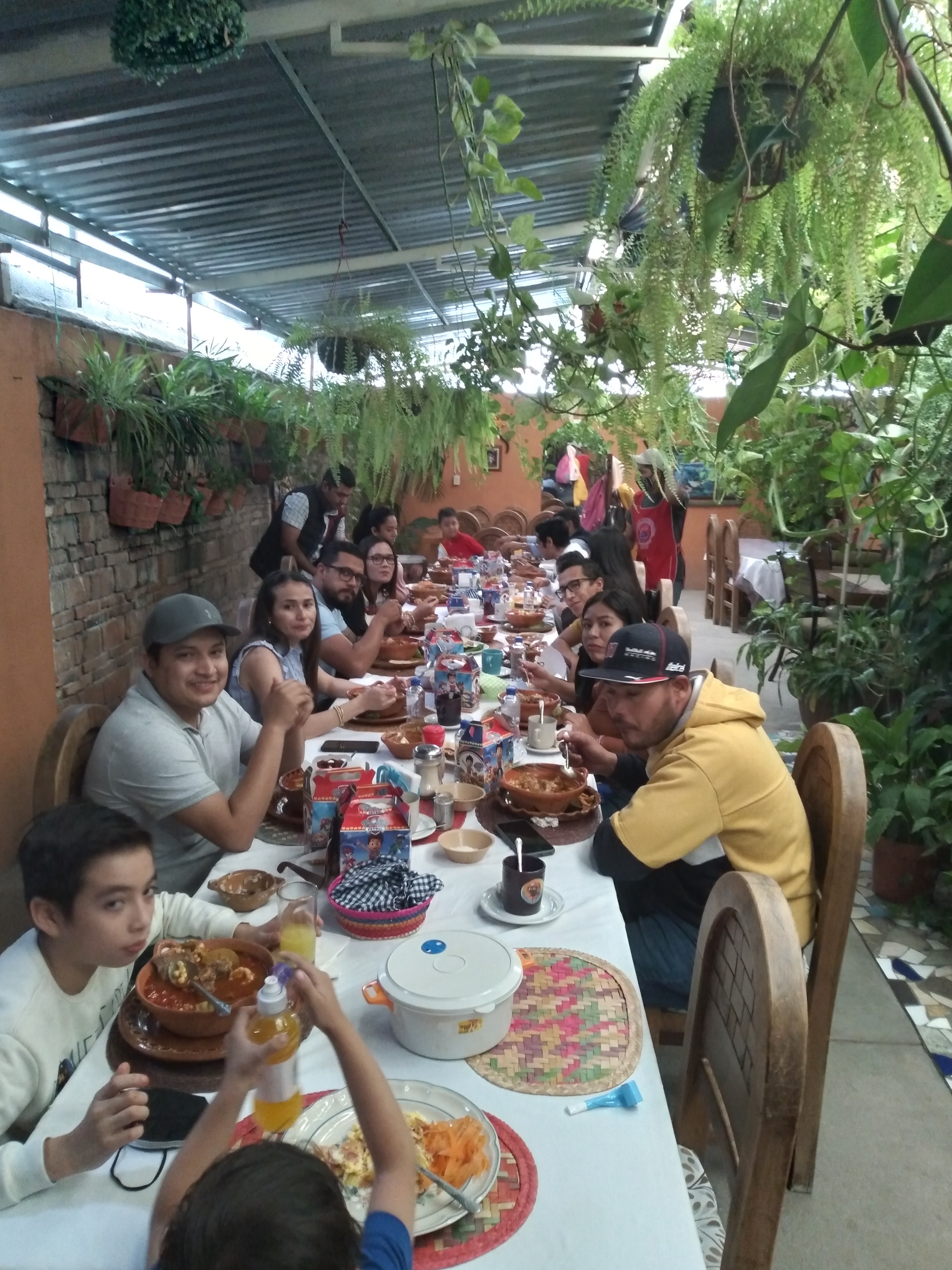 Los Helechos image 3