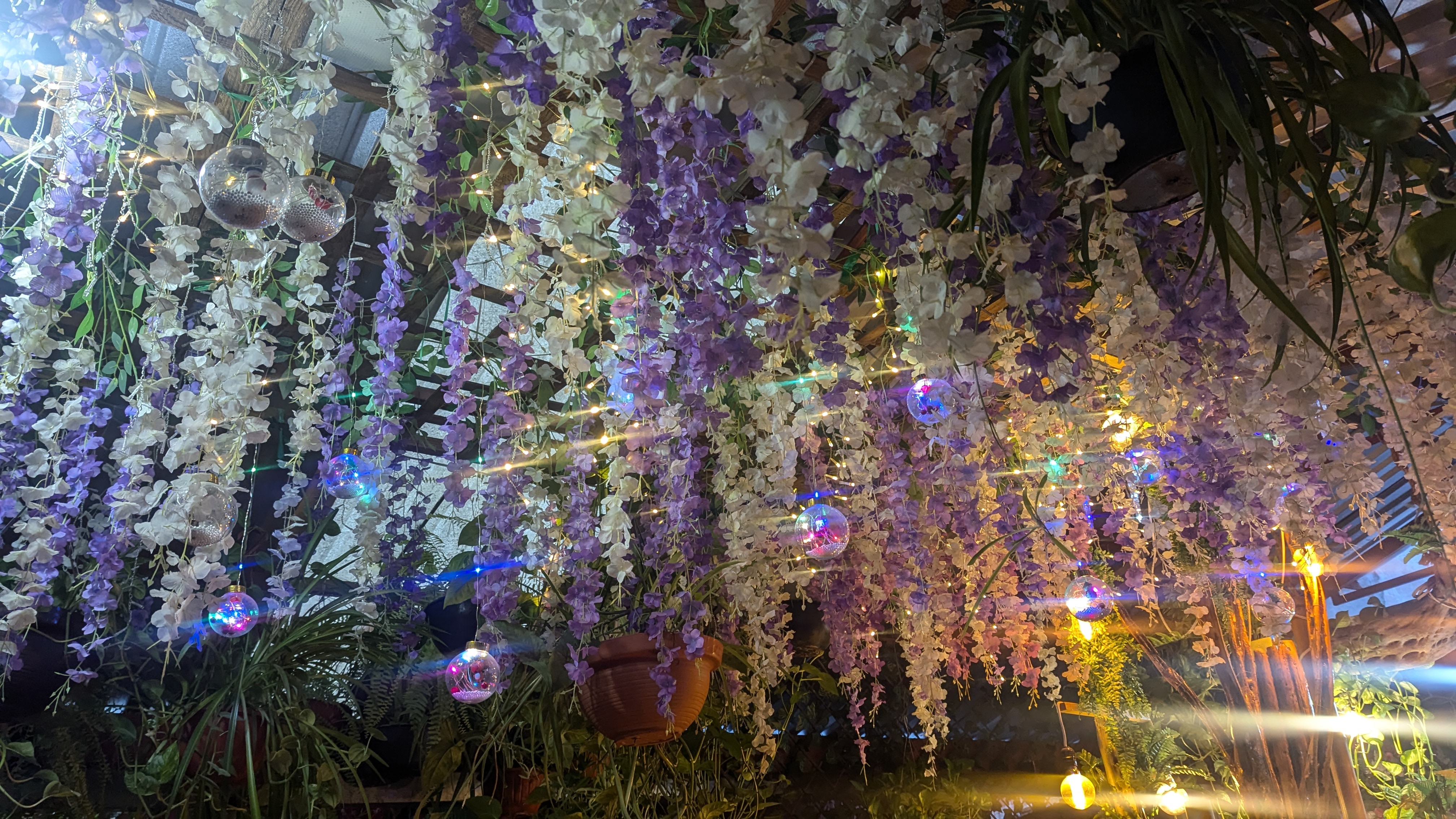 Los Helechos image 8