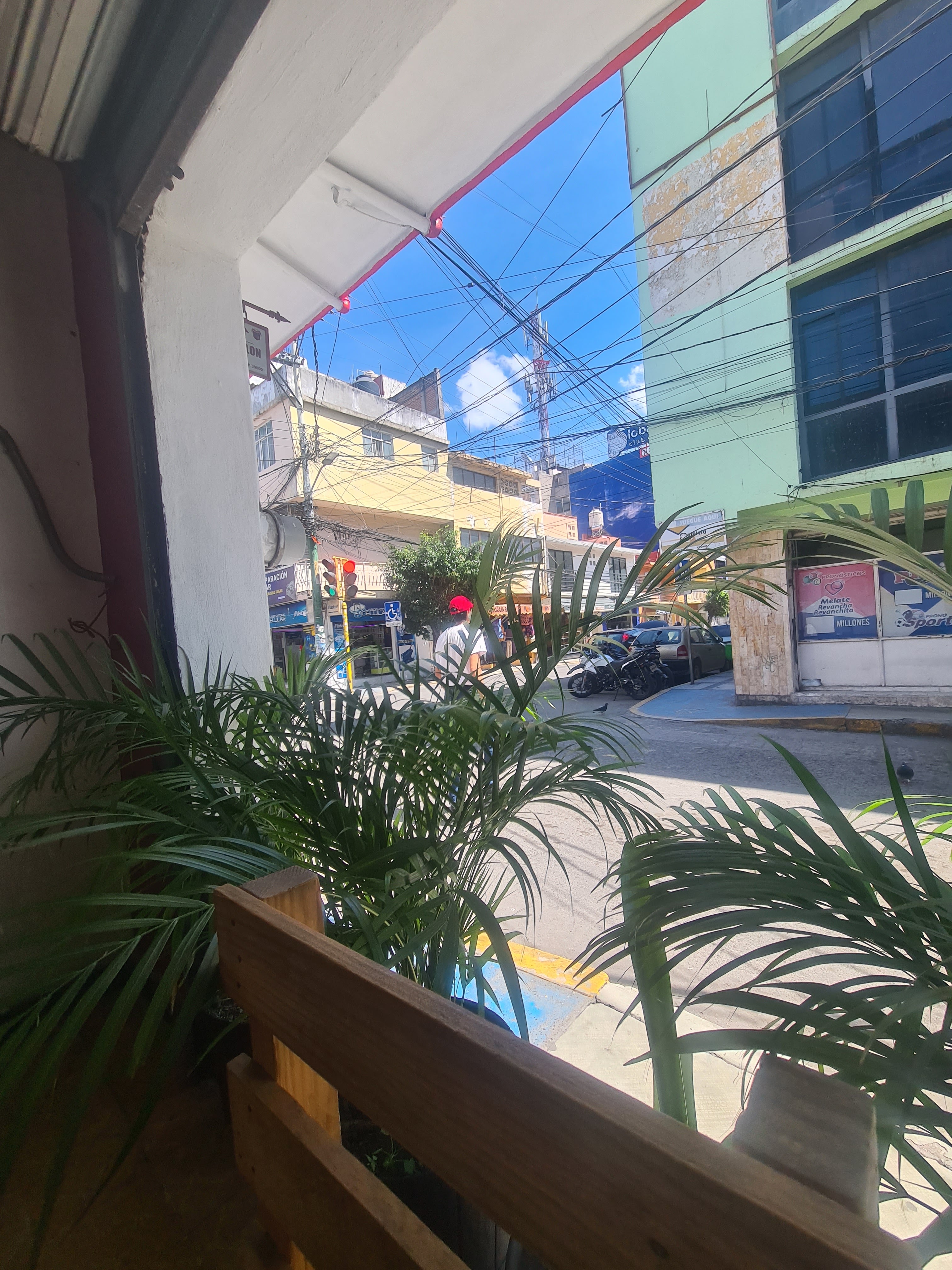 Enchiladas las más sabrosas image 10