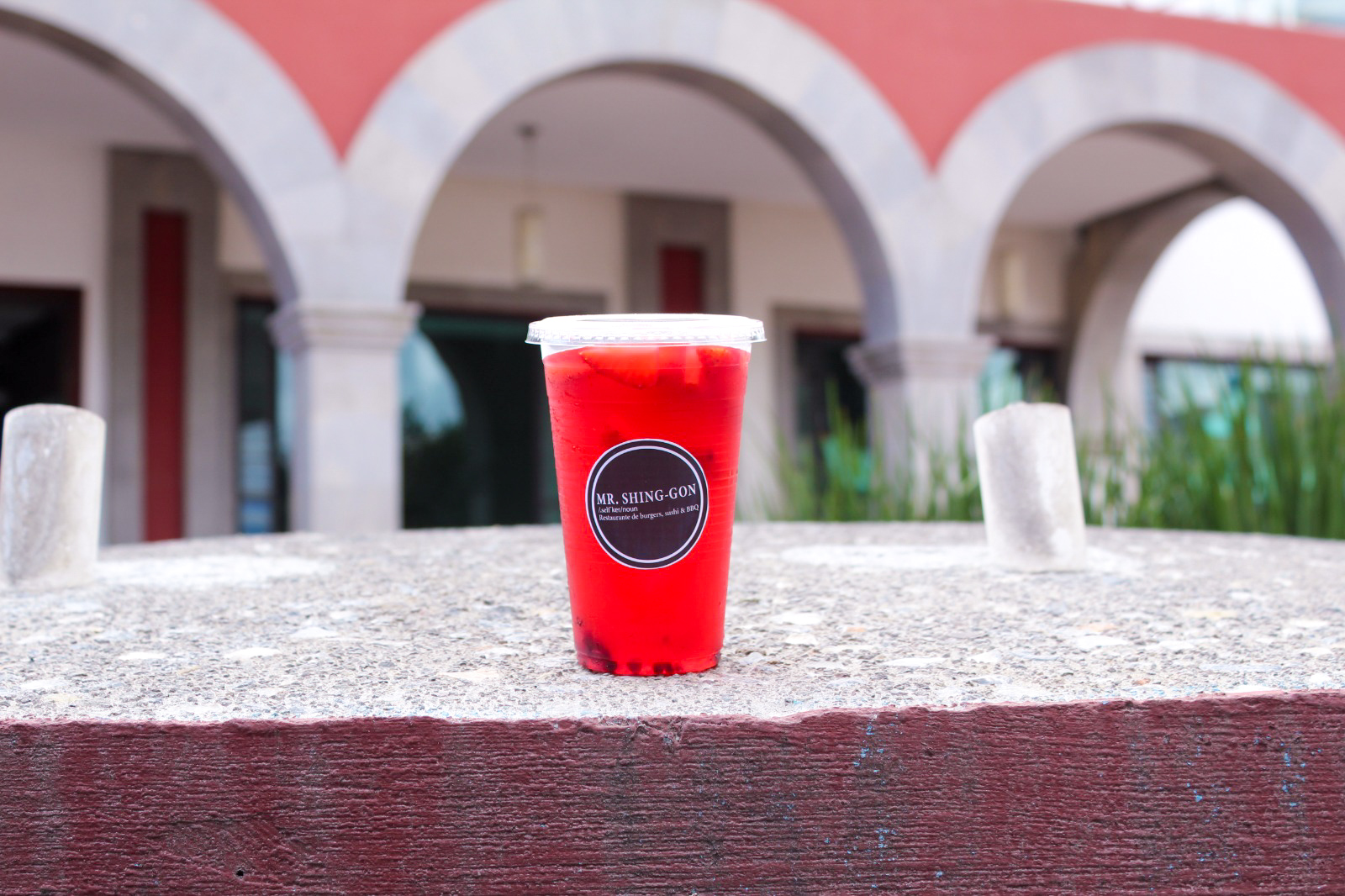 Mr. Shing-Gon image 7