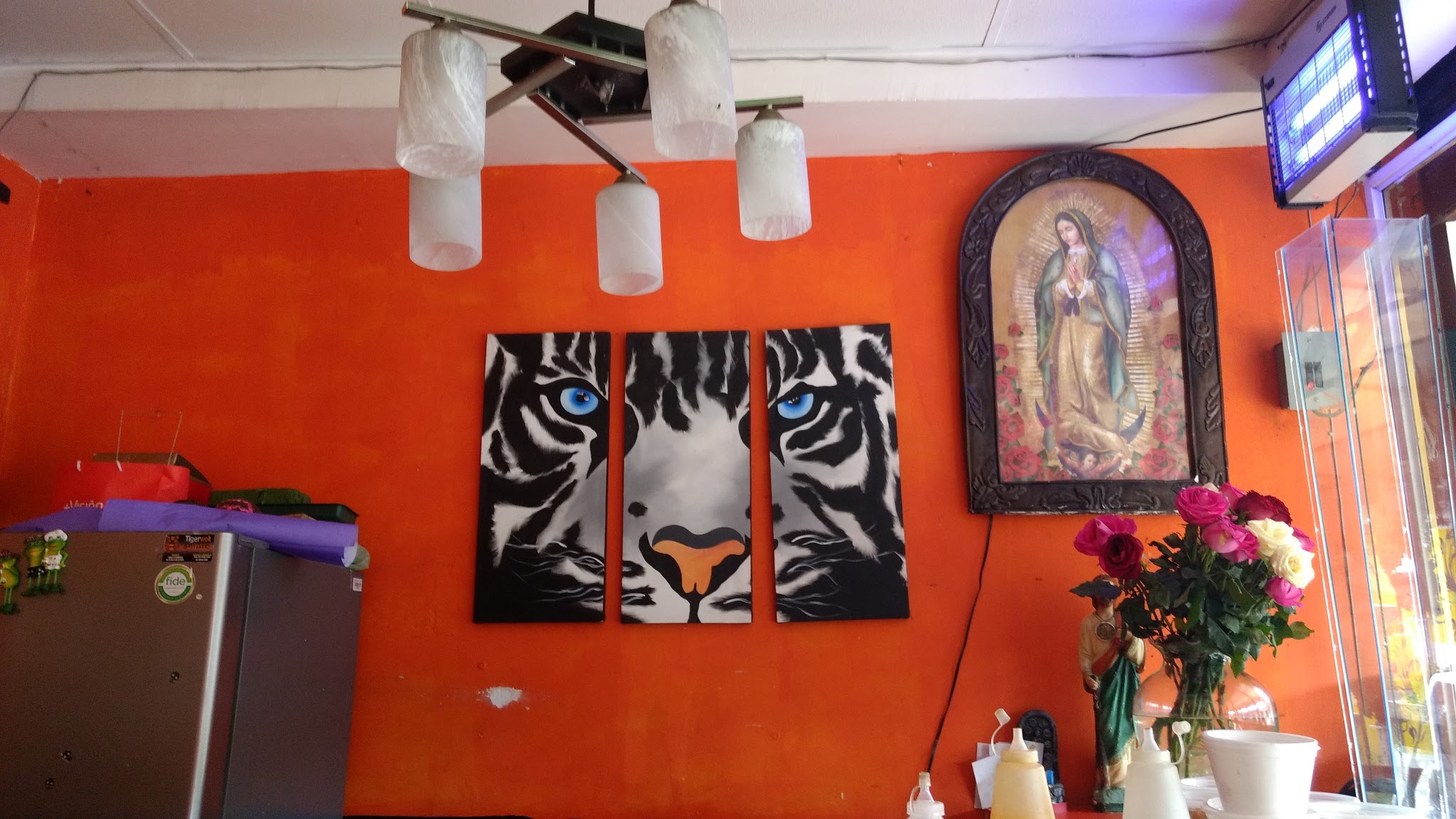 Sushi Tigerwok image 1