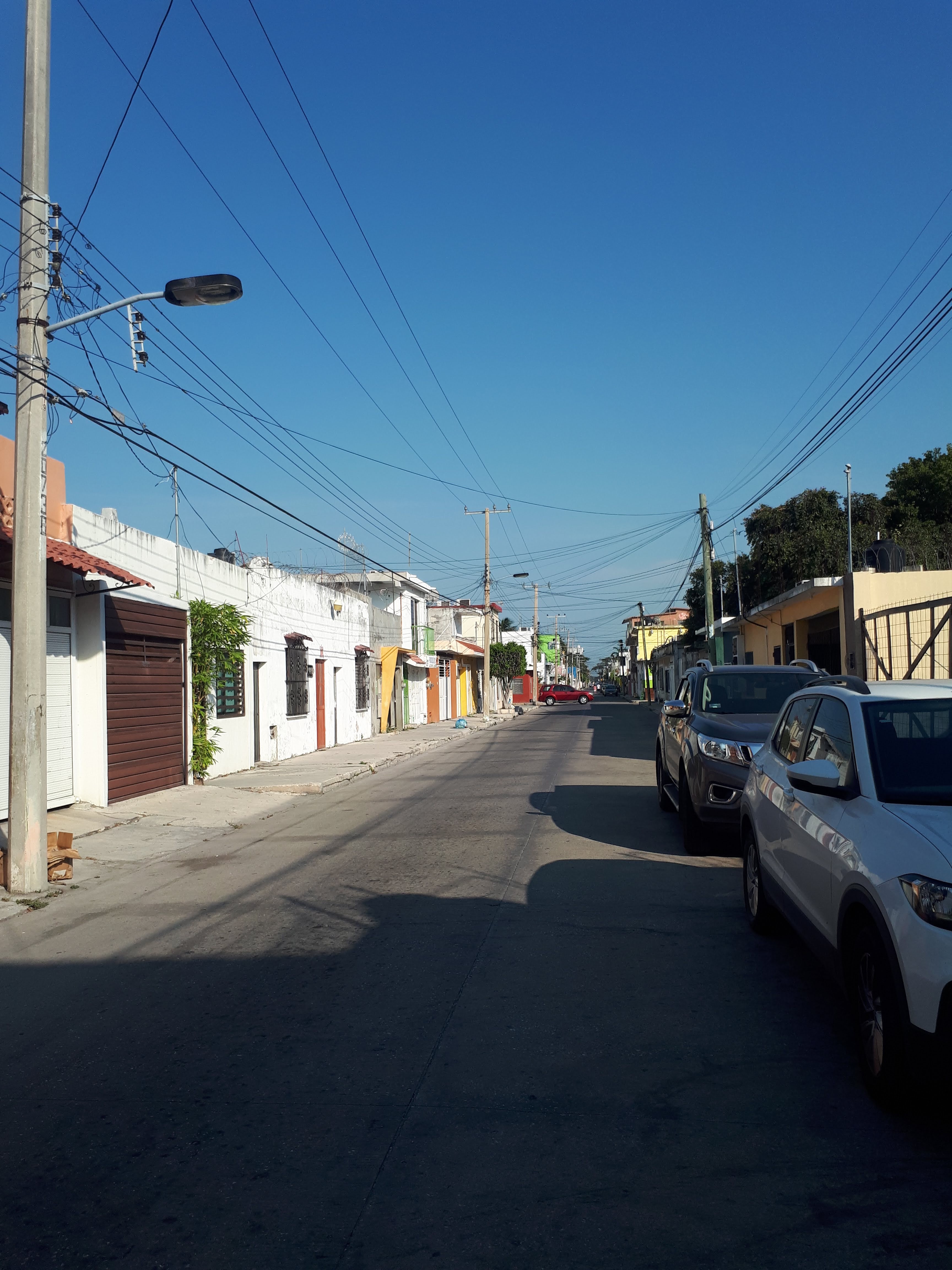 La Veracruzana image 3