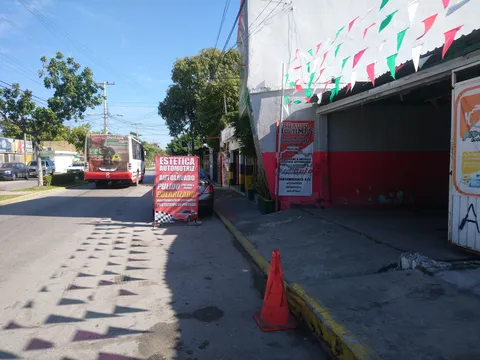 Pollo Brujo image 2