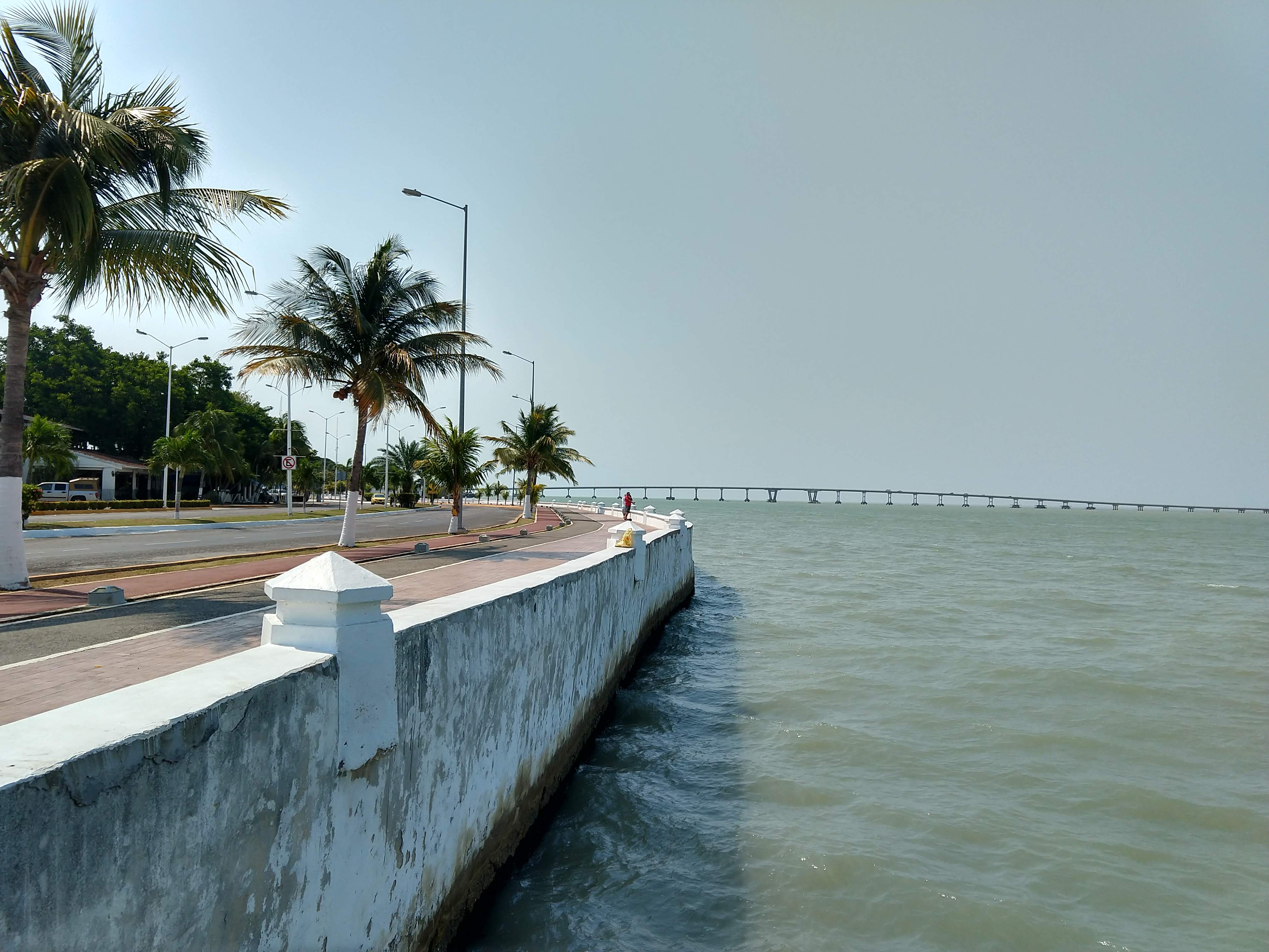 Taqueria Chicoche image 9