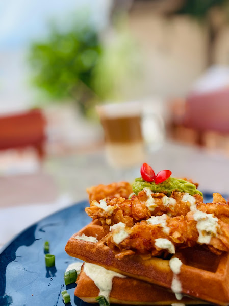 BONITA CHETUMAL image 5