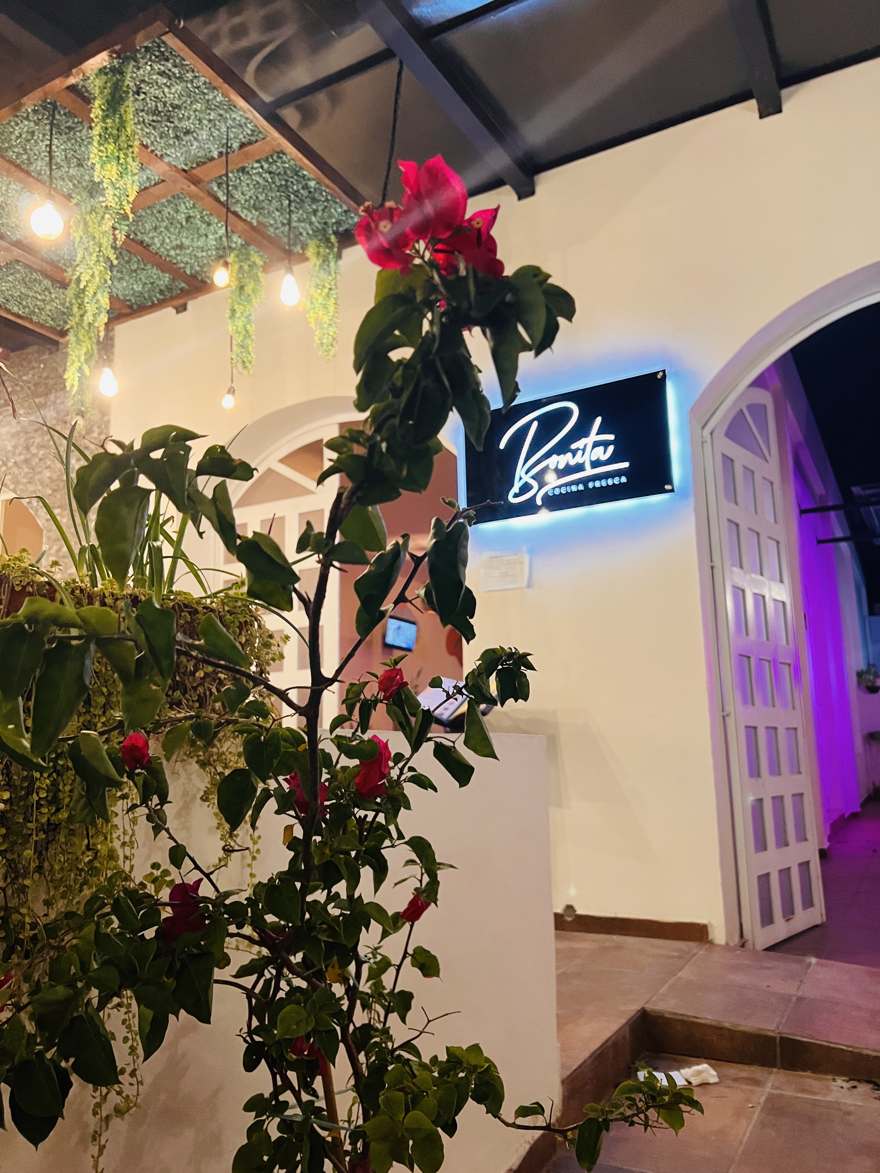 BONITA CHETUMAL image 9