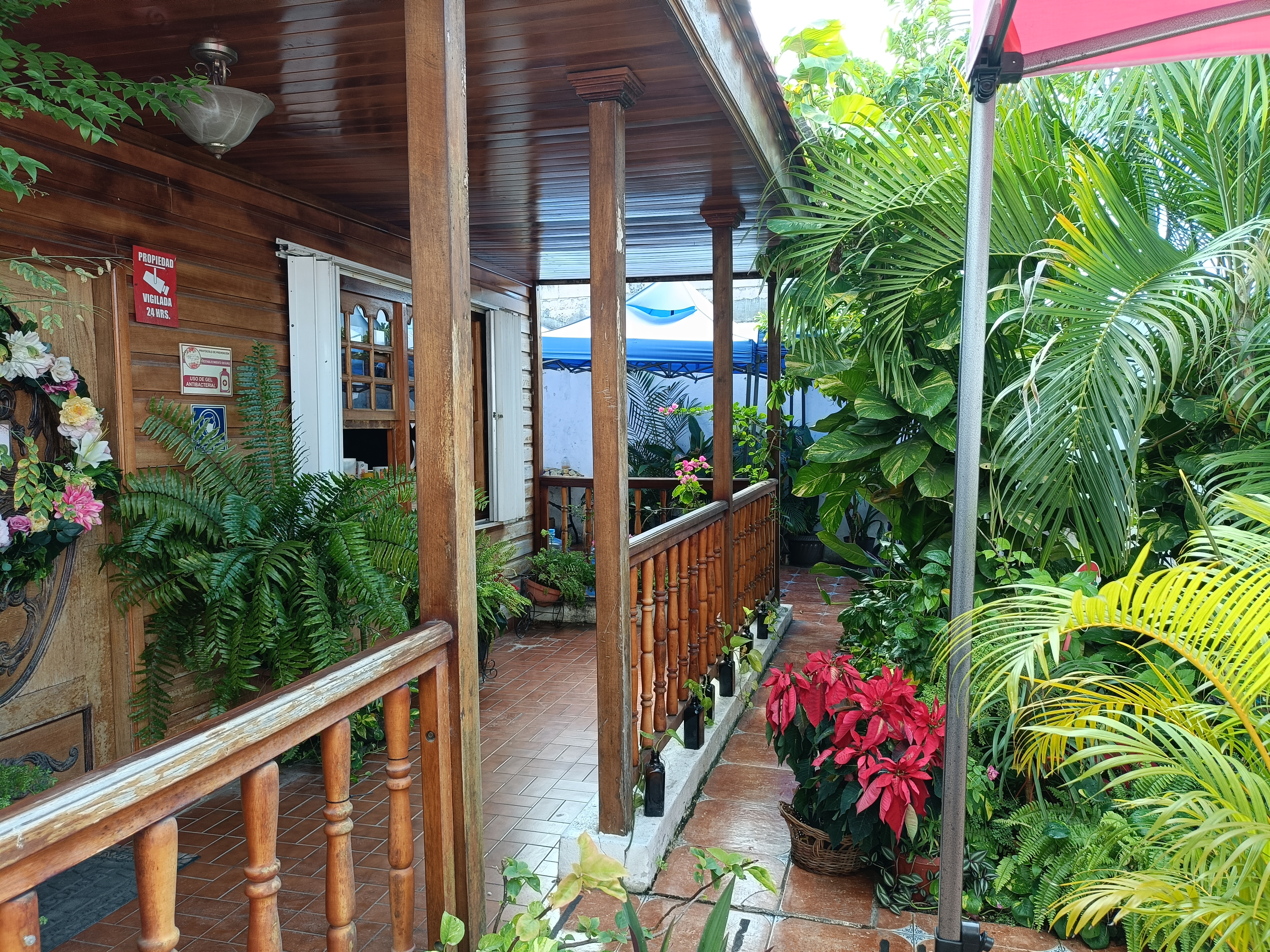 Casa de las Flores Chetumal image 3