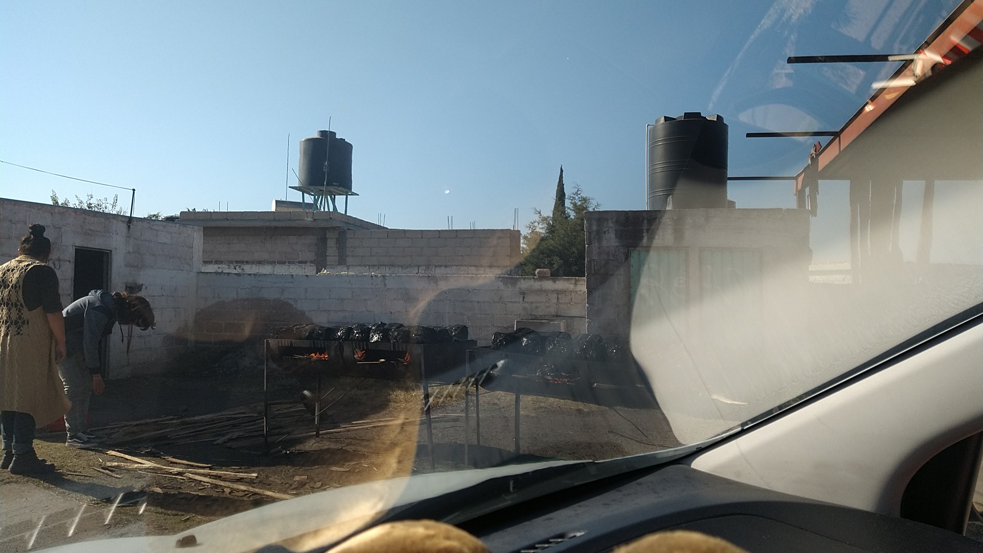 Pollos a la penca Don Emiliano image 1