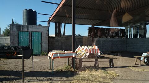Pollos a la penca Don Emiliano image 3