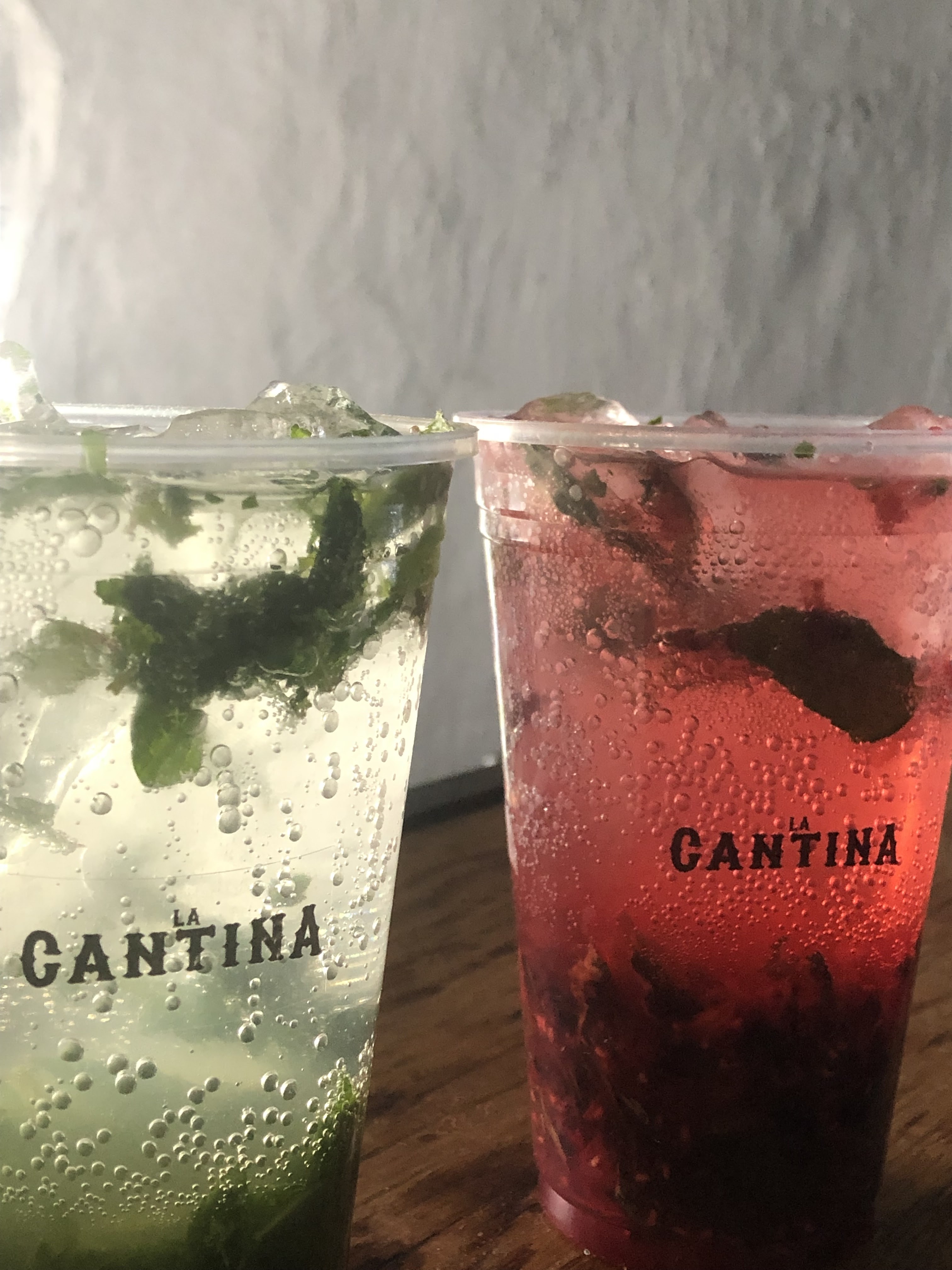 La Cantina Xonacatlan image 10