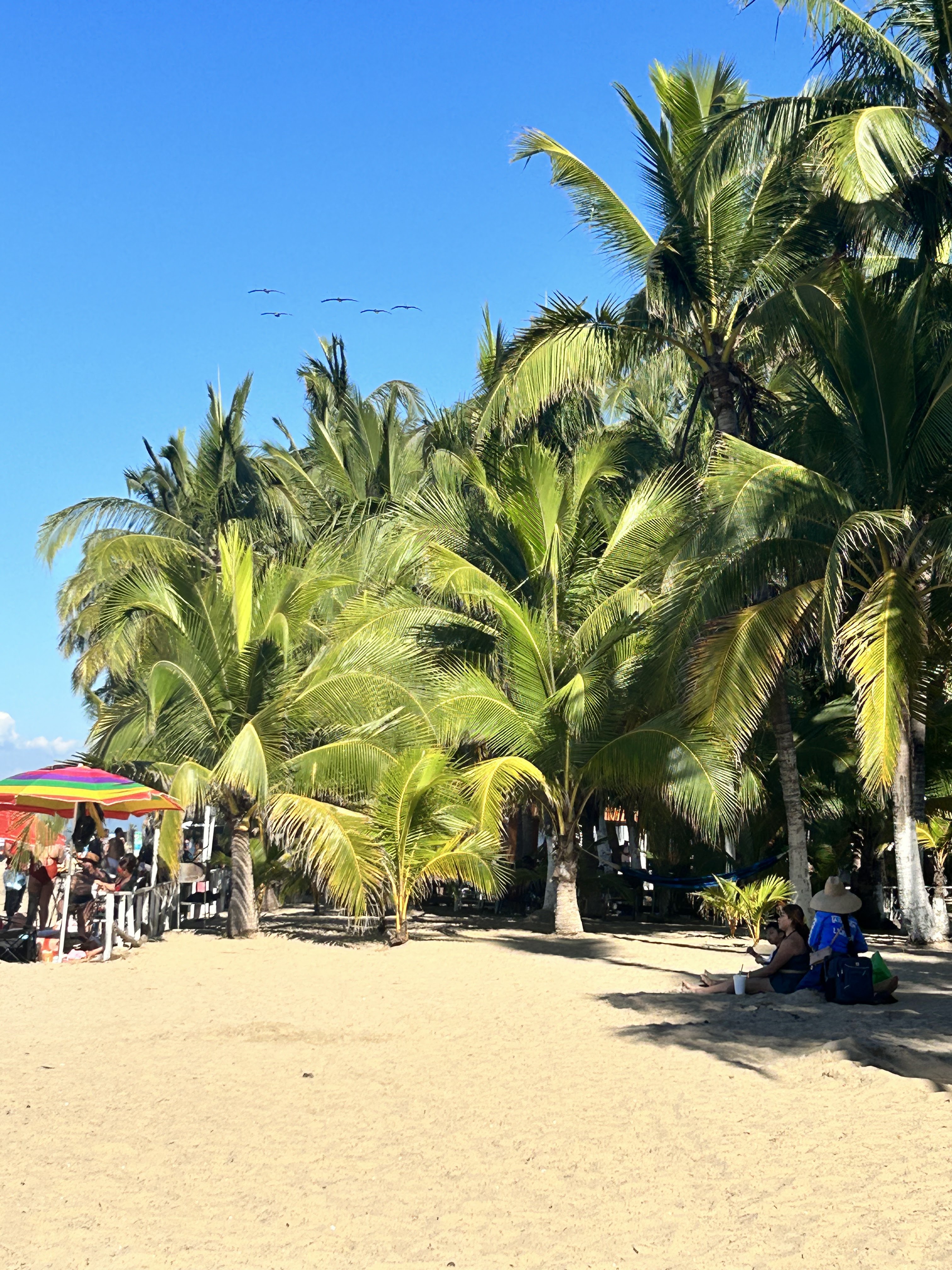 Bungalows Y Restaurant Los Brother's image 8