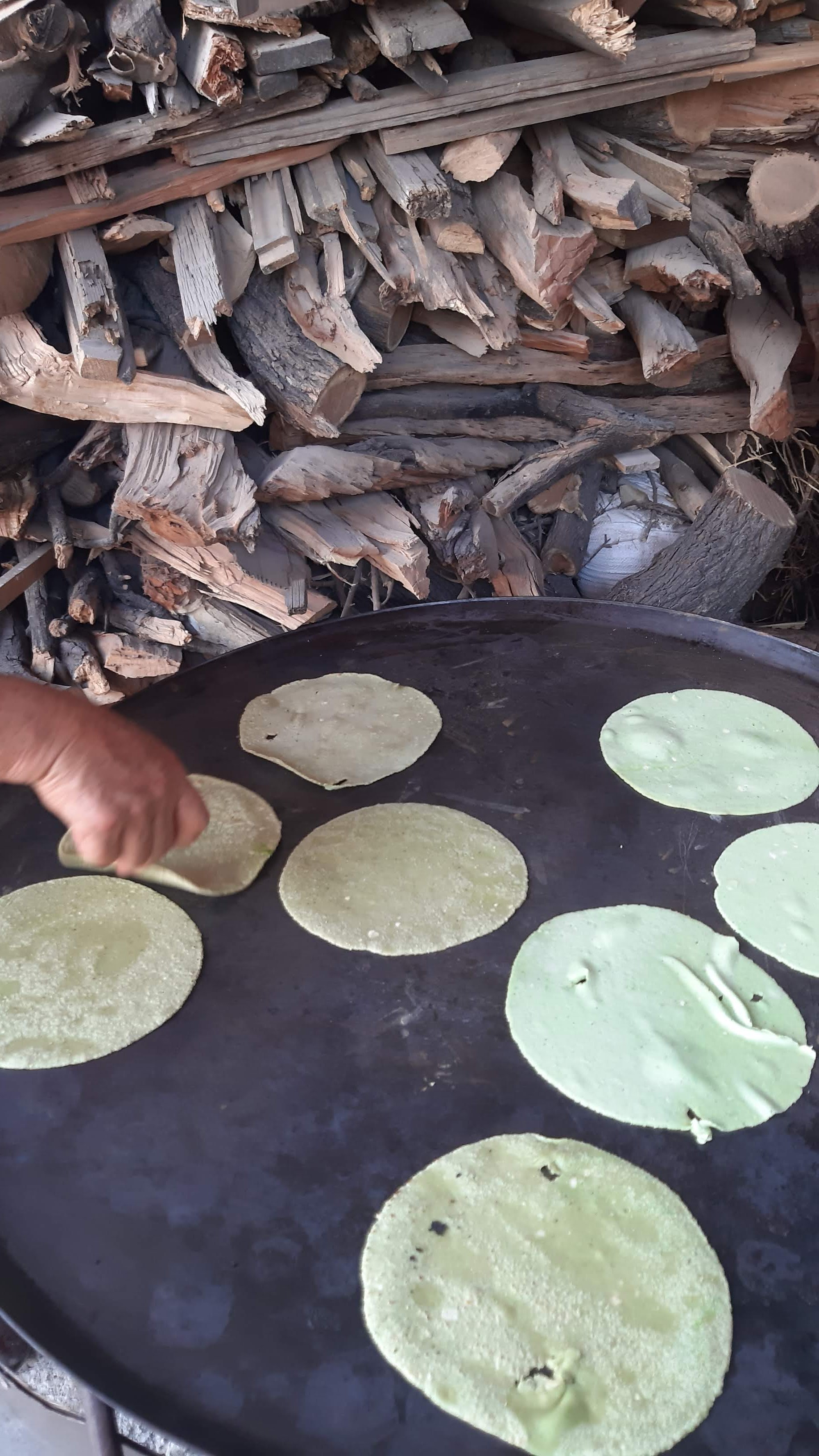 Mole Doña Martha image 3