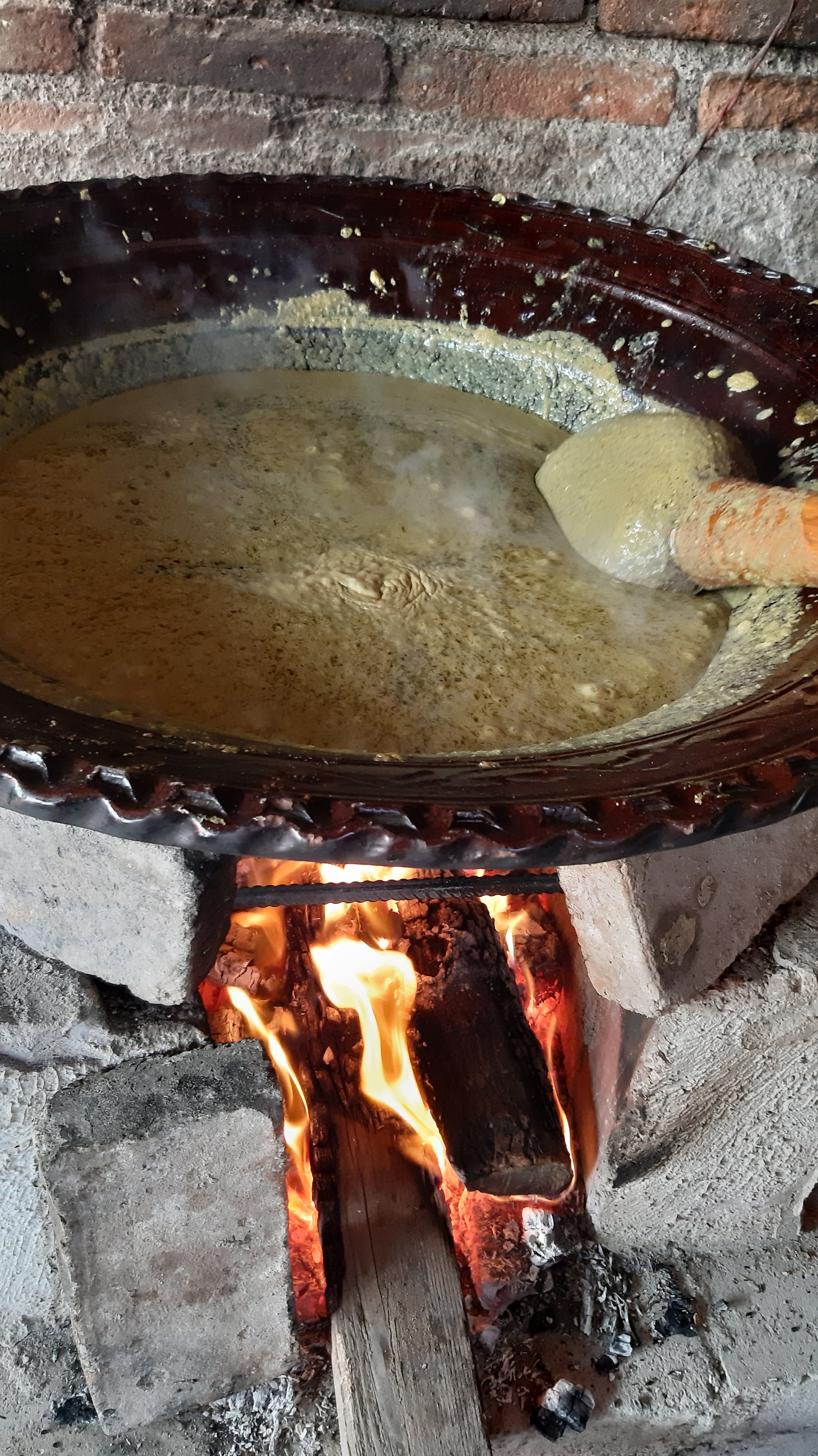 Mole Doña Martha image 7