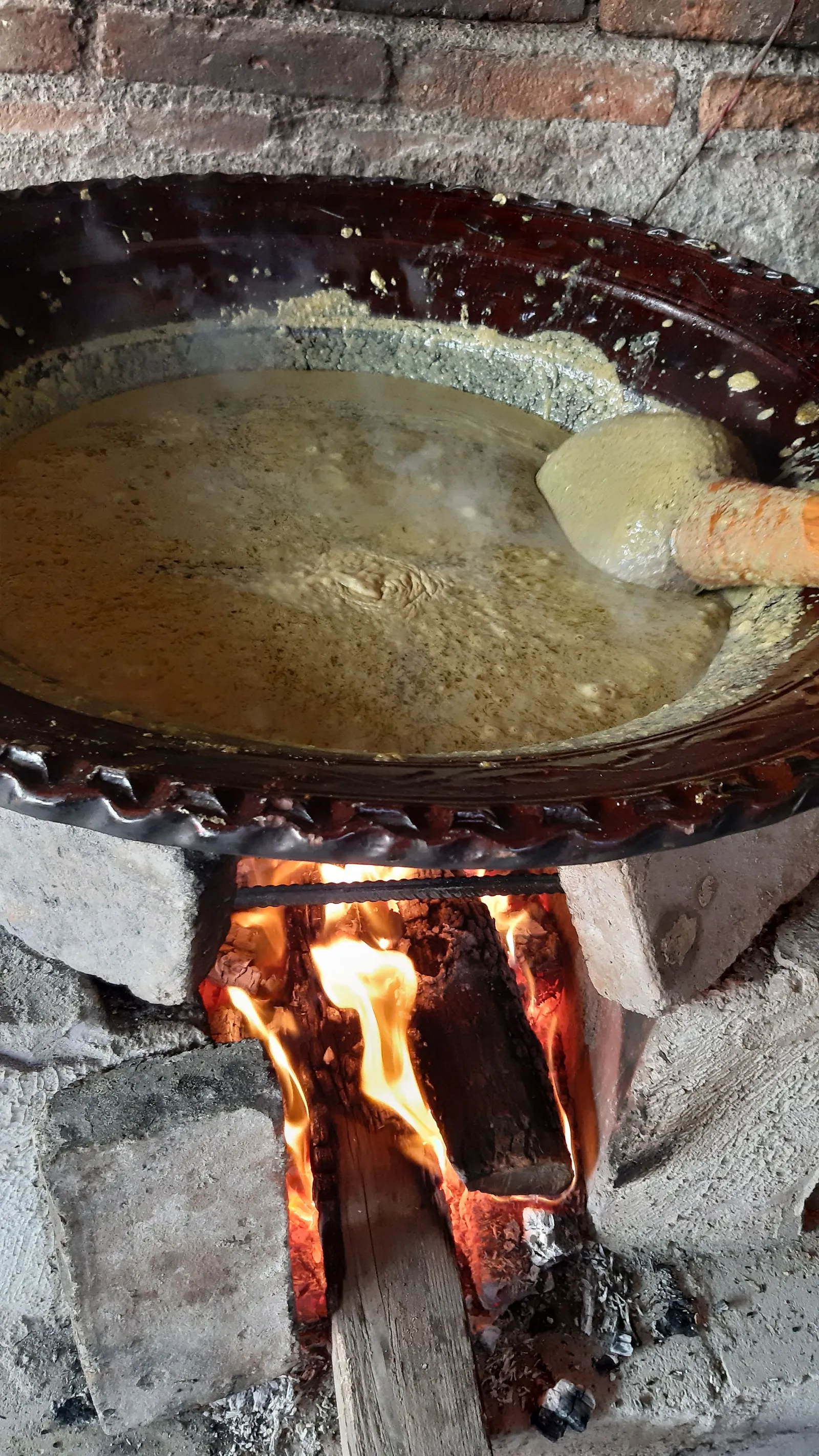 Mole Doña Martha image 7
